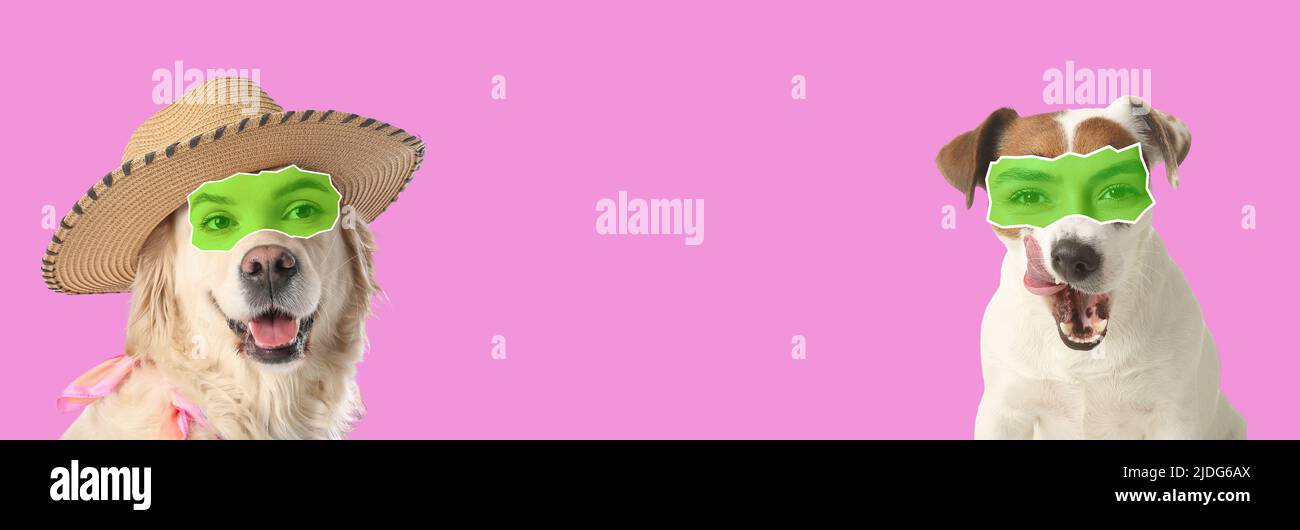 Cute Dogs With Human Eyes On Pink Background With Space For Text Stock Cute dogs with human eyes on pink background with space for text stock