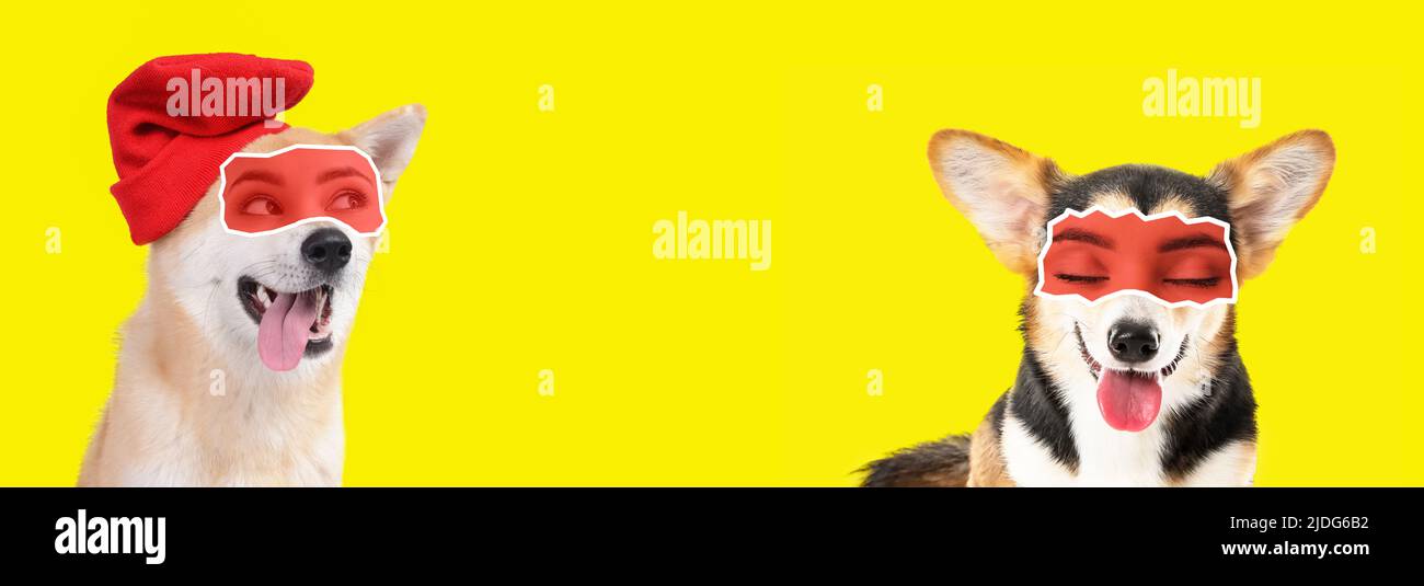 Cute Dogs With Human Eyes On Yellow Background With Space For Text Cute dogs with human eyes on yellow background with space for text