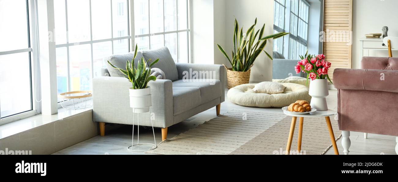 Sofa and coffee table in interior of light living room Stock Photo - Alamy