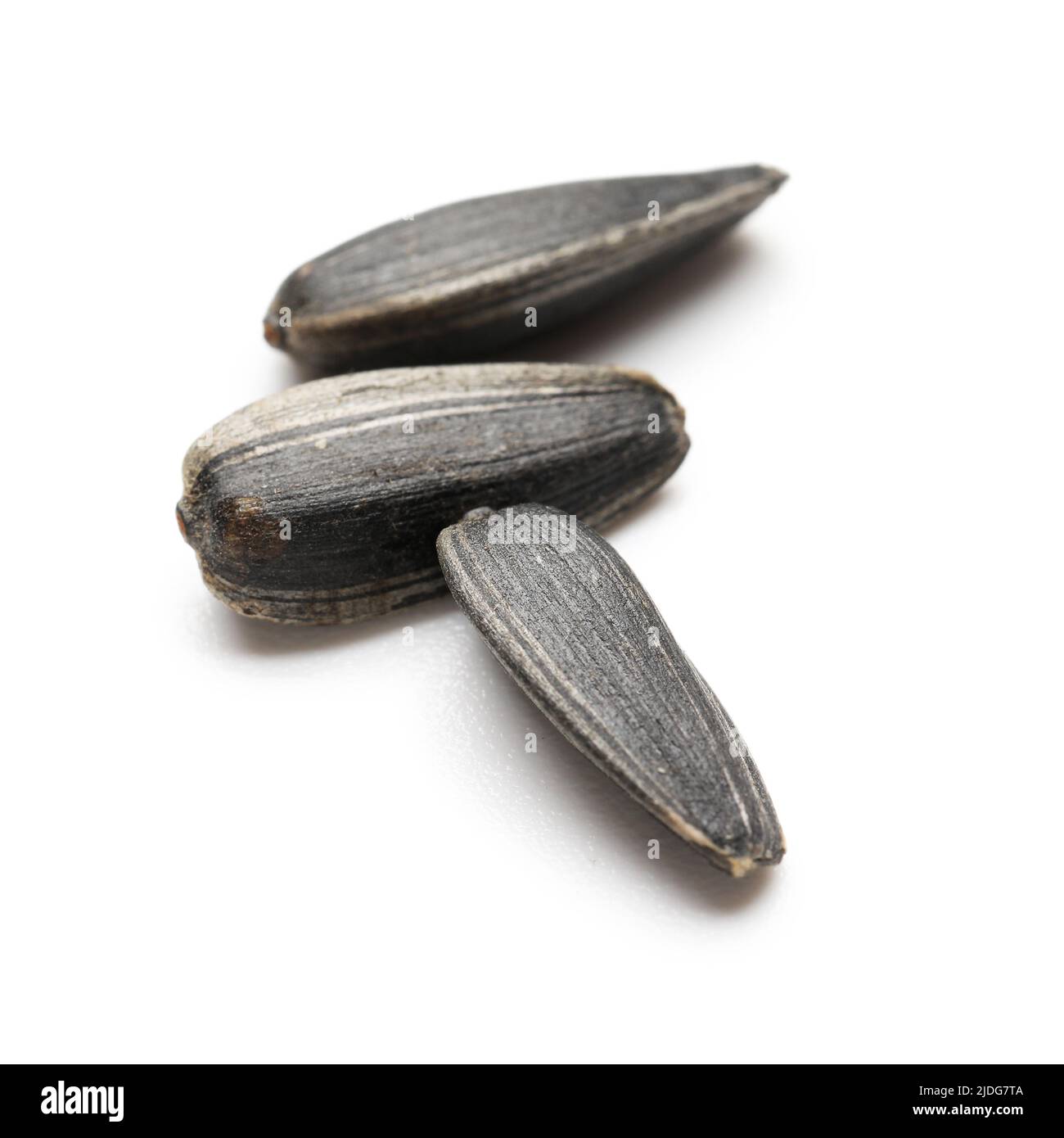 Black unpeeled sunflower seeds hi-res stock photography and images - Alamy