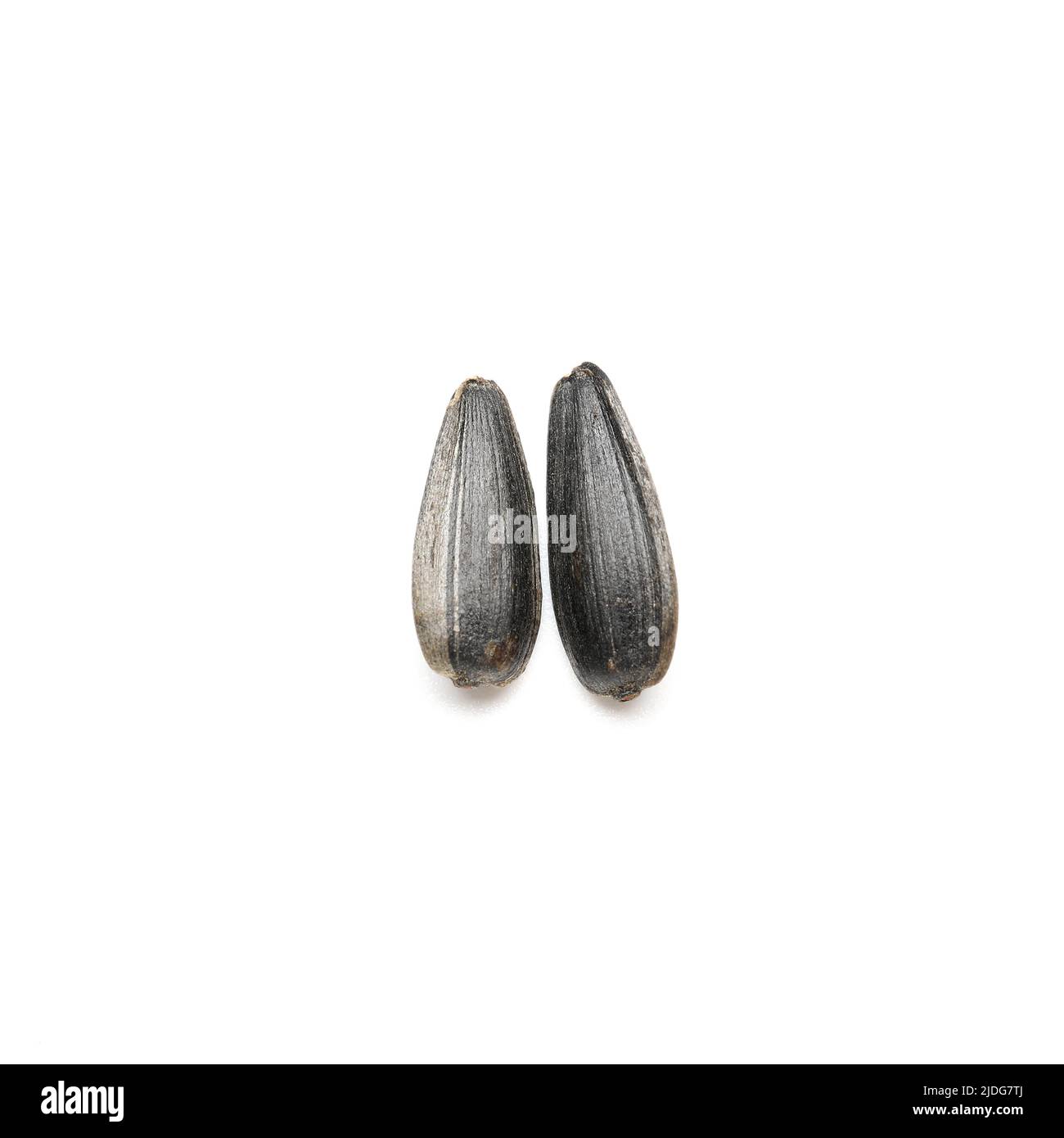 Unpeeled sunflower seeds on white background Stock Photo - Alamy