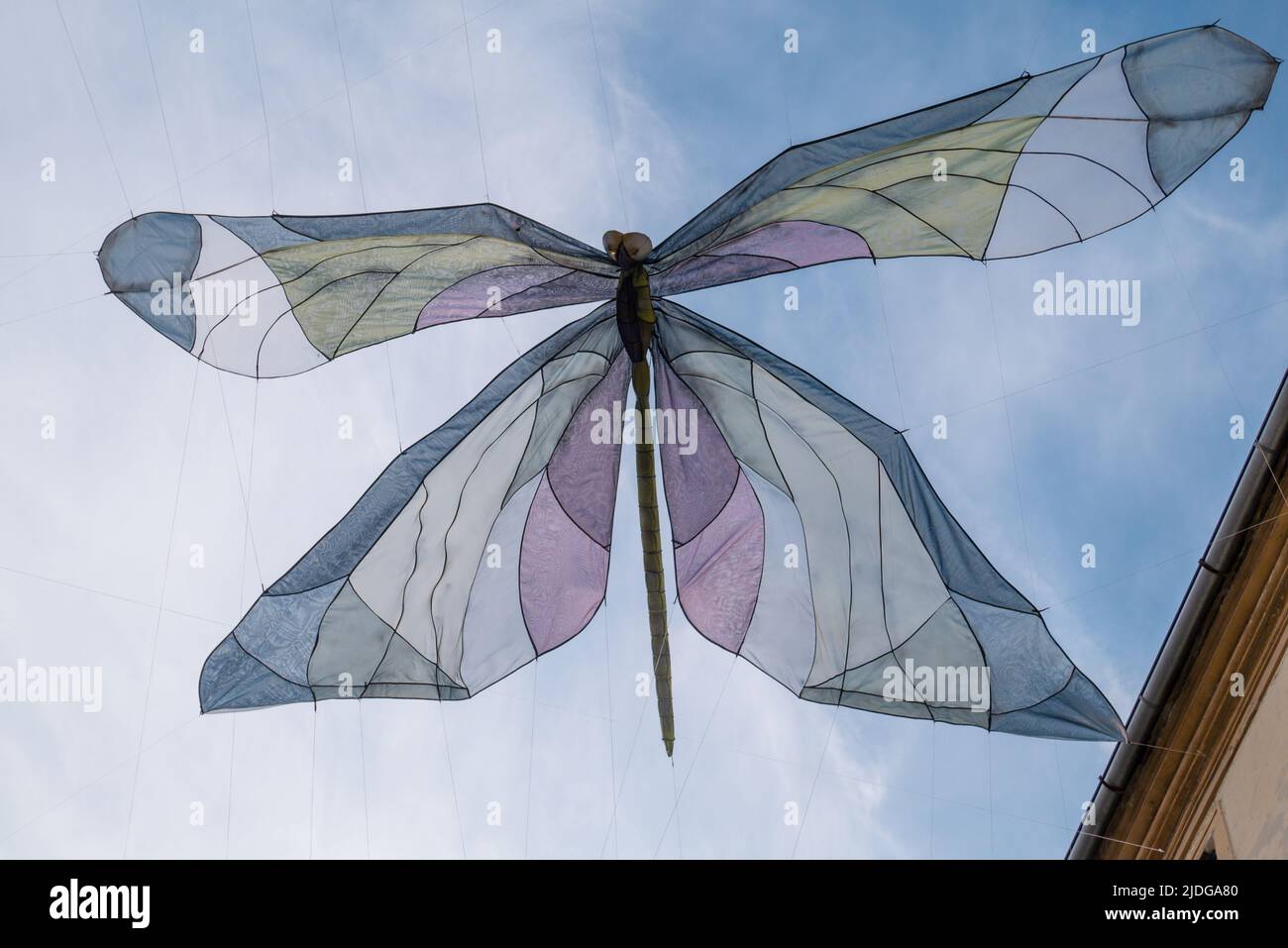 A large butterfly of various color colors moored and spread between buildings. An imaginative depiction of an insect. Varazdin, 2021. Stock Photo