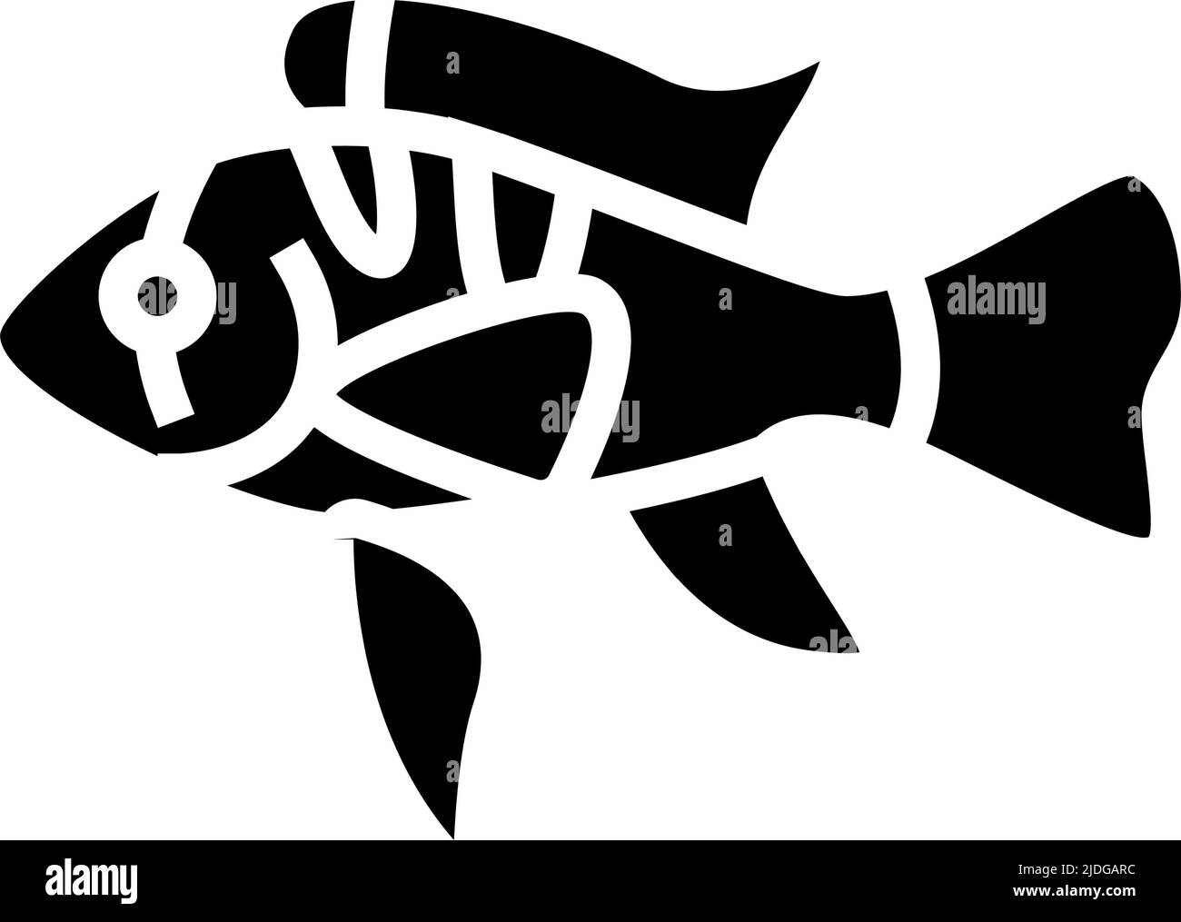 ram cichlids fish glyph icon vector illustration Stock Vector