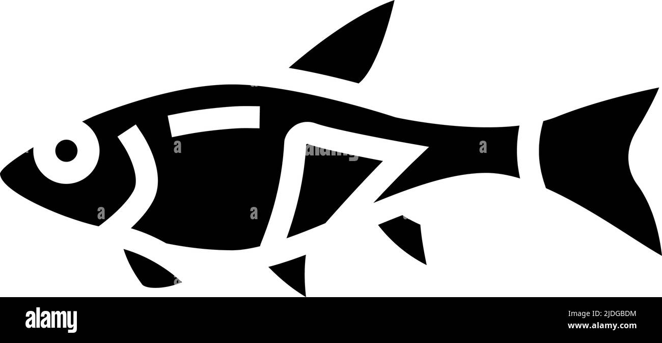 rasbora fish glyph icon vector illustration Stock Vector