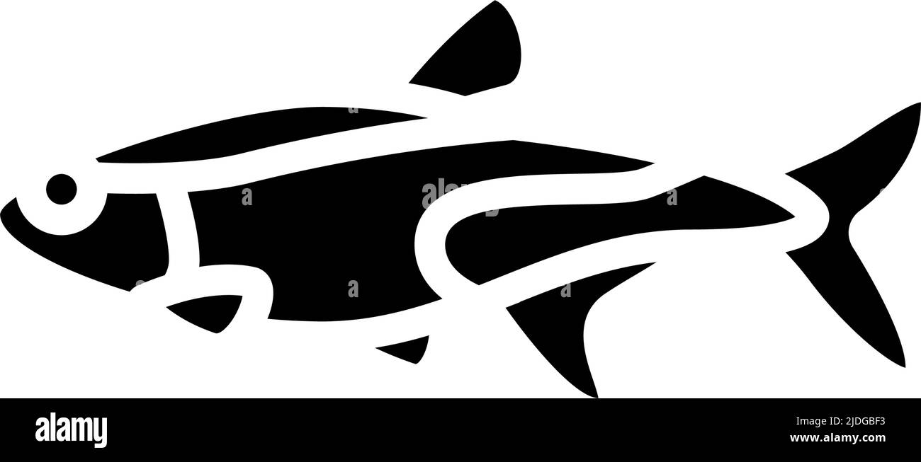 tetras aquarium fish glyph icon vector illustration Stock Vector