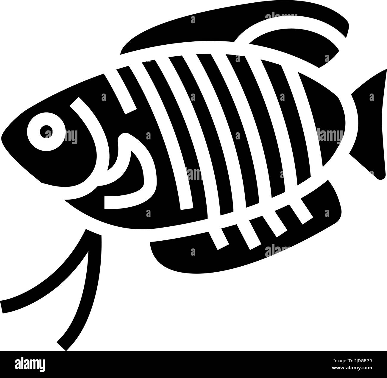 gourami fish glyph icon vector illustration Stock Vector