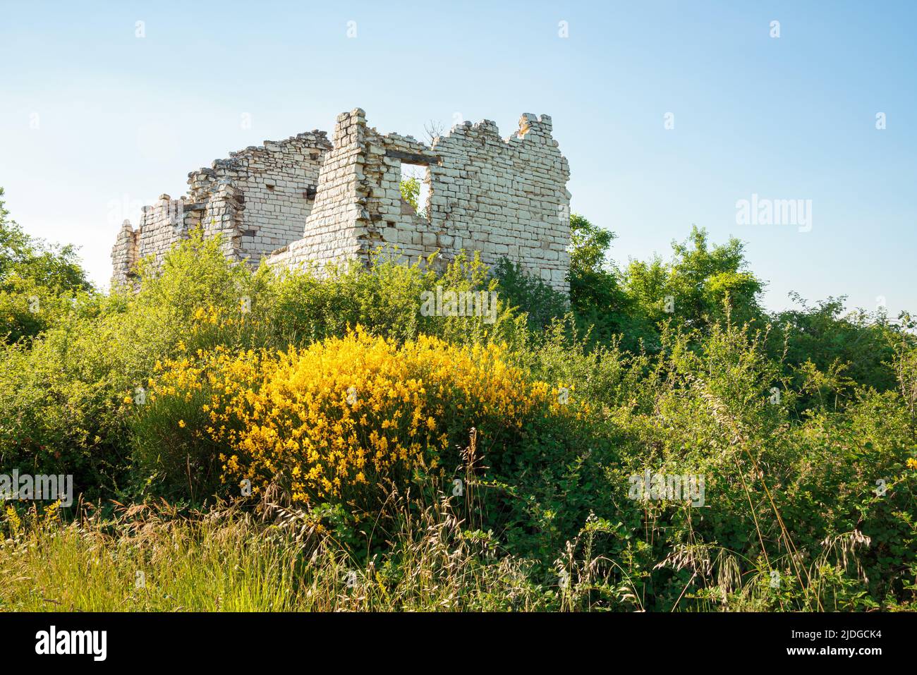 Ruin of an old stone house, in the Cesane mountains in Italy, Marche, close to Pesaro and Urbino. Various plants like broom and other herbs groe aroun Stock Photo