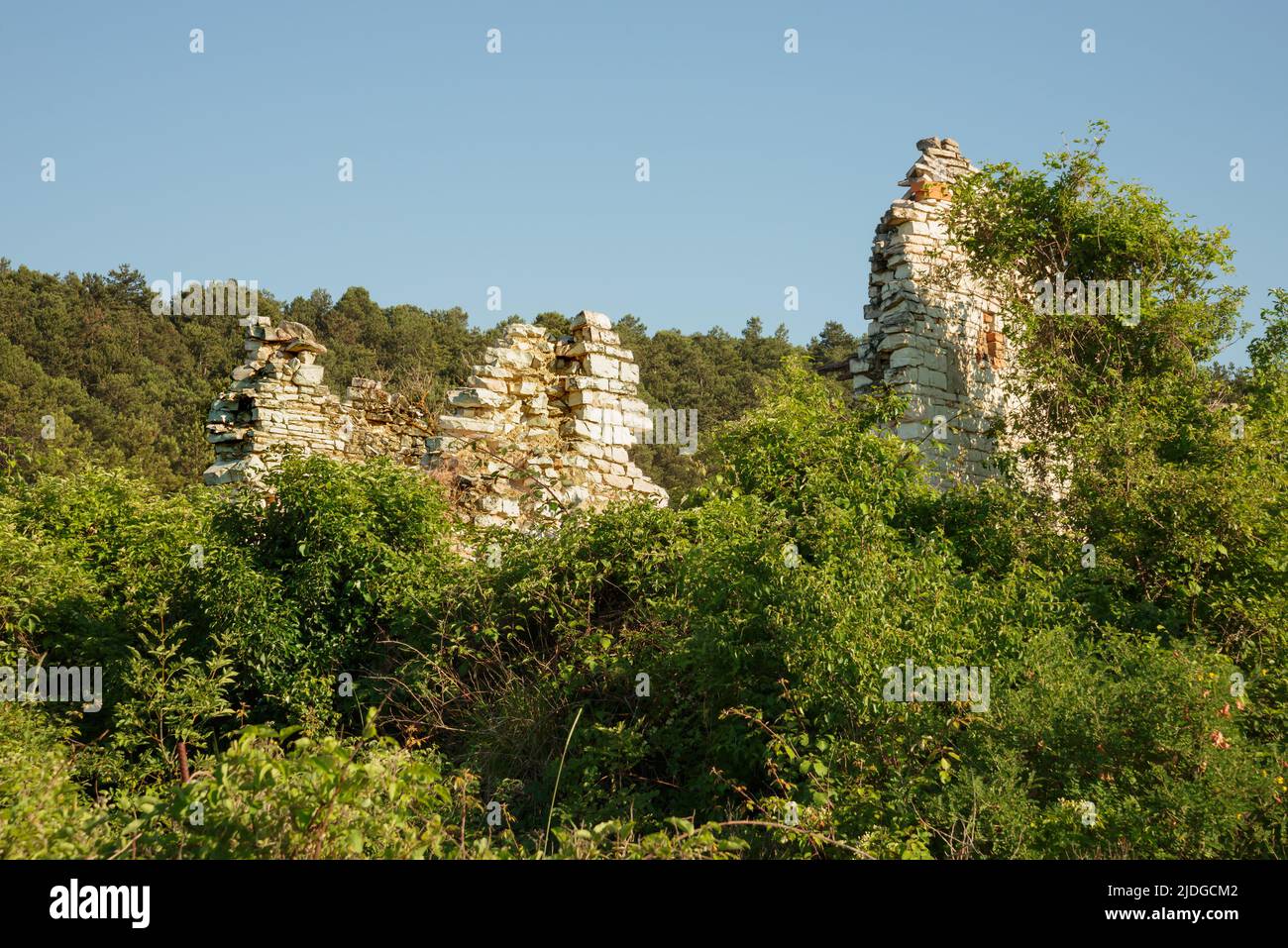 Ruin of an old stone house, in the Cesane mountains in Italy, Marche, close to Pesaro and Urbino. Various plants like broom and other herbs groe aroun Stock Photo