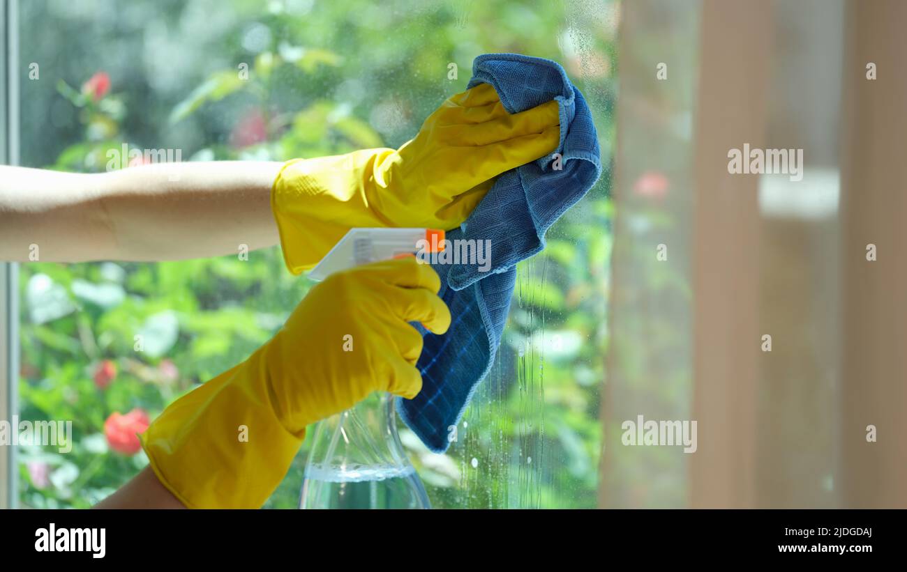 Female hands in gloves cleaning window using detergent and rags Stock