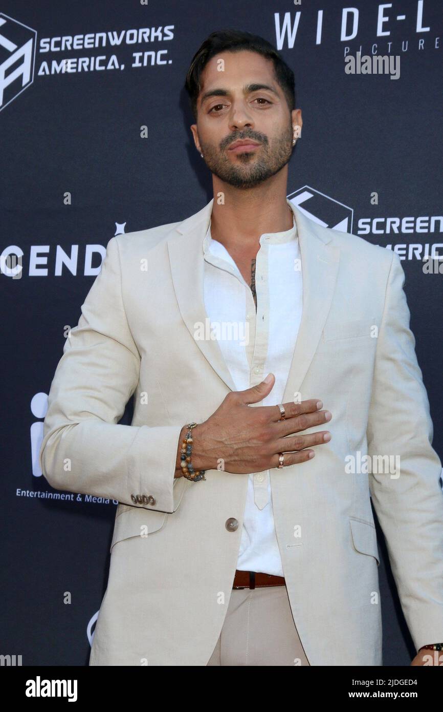 Los Angeles, CA. 20th June, 2022. Anthony Bless at arrivals for THE KILLER Premiere, Regency Village Theatre, Los Angeles, CA June 20, 2022. Credit: Priscilla Grant/Everett Collection/Alamy Live News Stock Photo