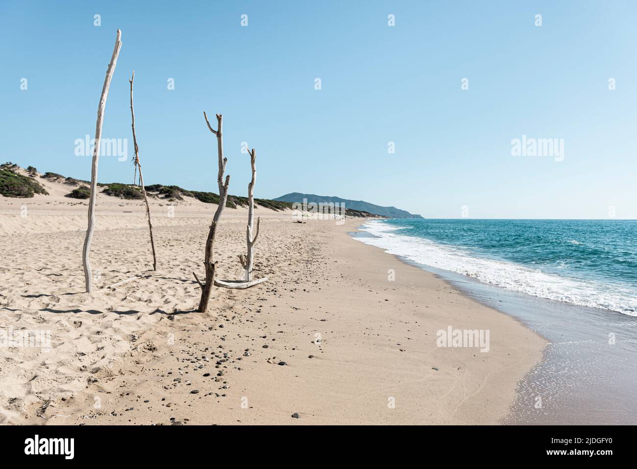 Four wooden poles stuck squarely in the sand on the natural beach and the dunes near Piscinas on the Costa Verde, Sardinia, Italy Stock Photo