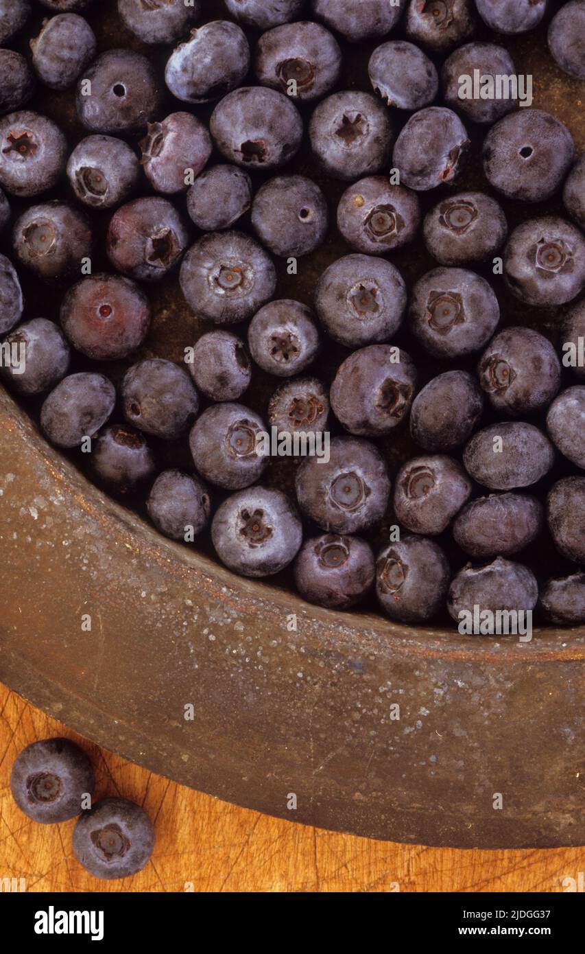 Close up of ripe Blueberries or Vaccinium corymbosum Brigitta with their white bloom contrasting with their purple-black in tin dish Stock Photo