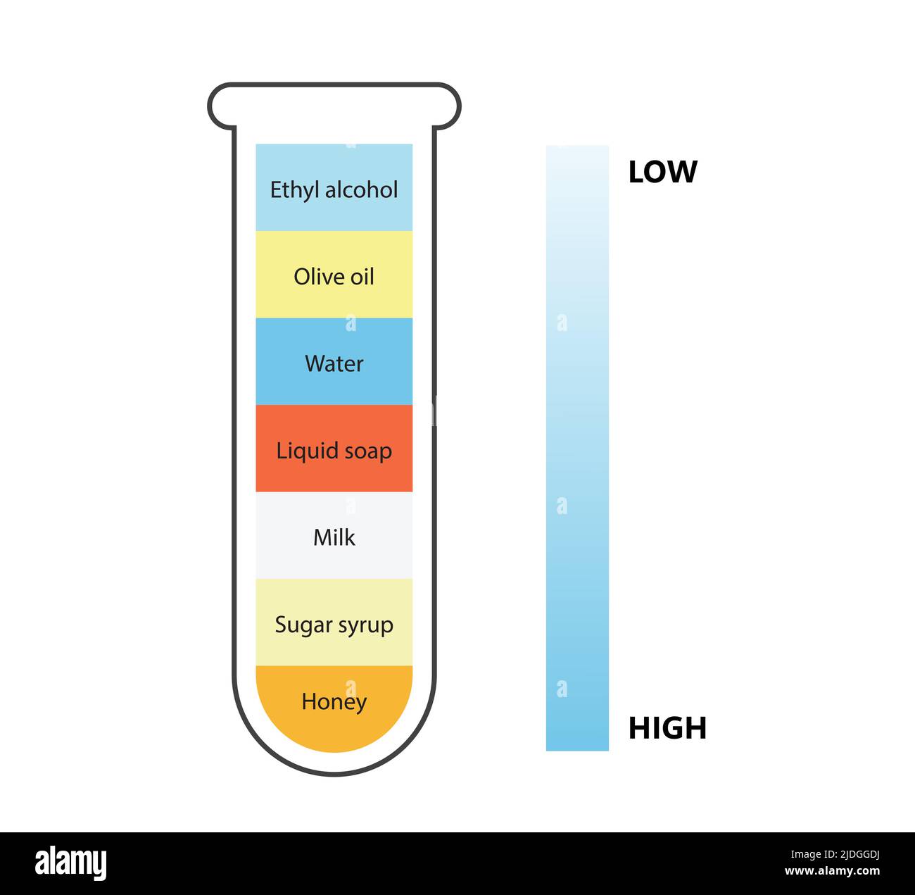 PrinLiquid density scientific experiment concept. Separate fluid layers. Laboratory experiment