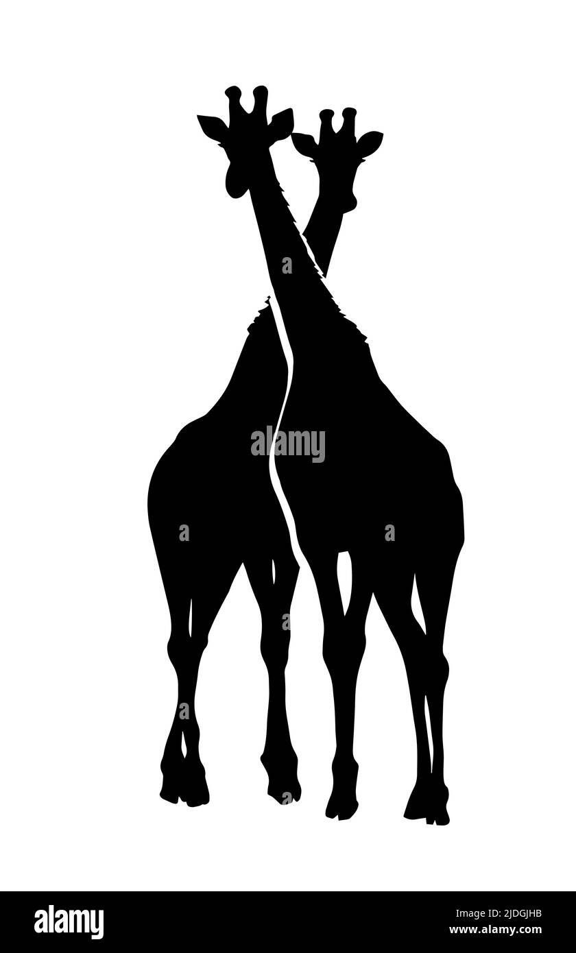 Silhouette of two giraffes. Vector illustration Stock Vector