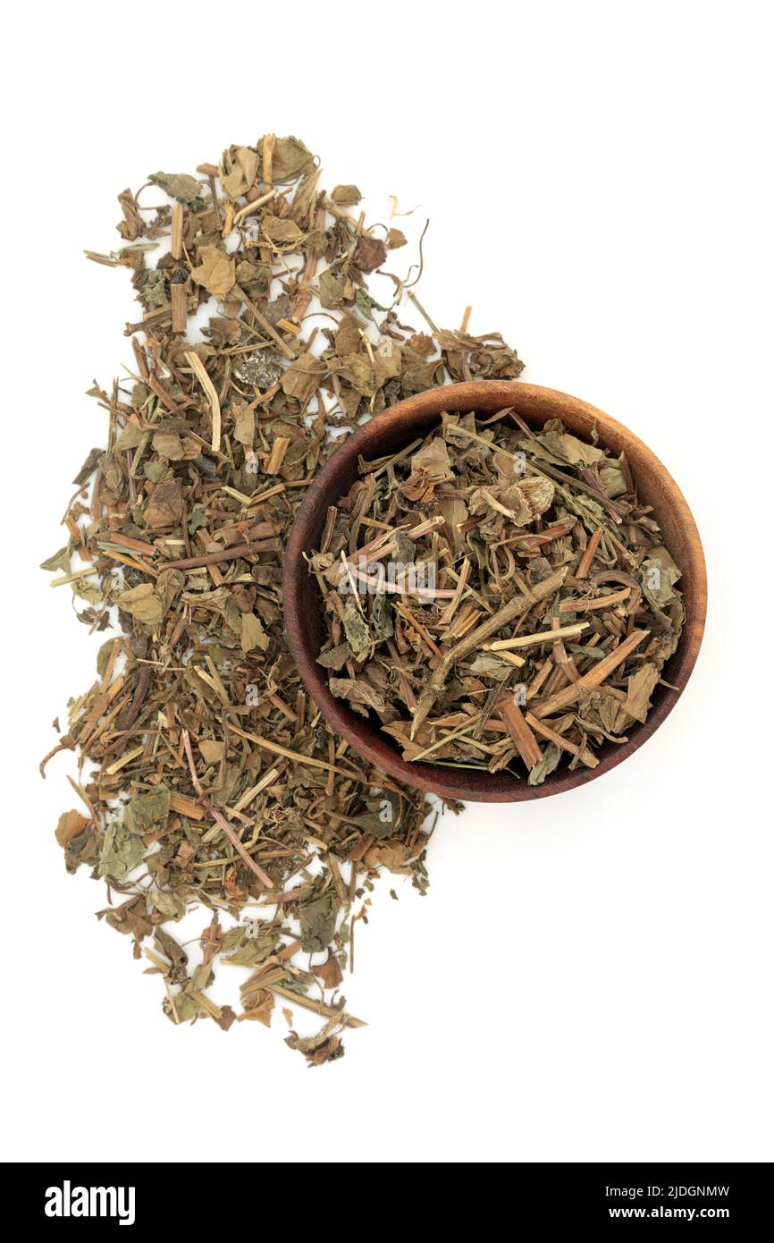 Houttuynia cordata leaf herb traditional Chinese herbal plant medicine