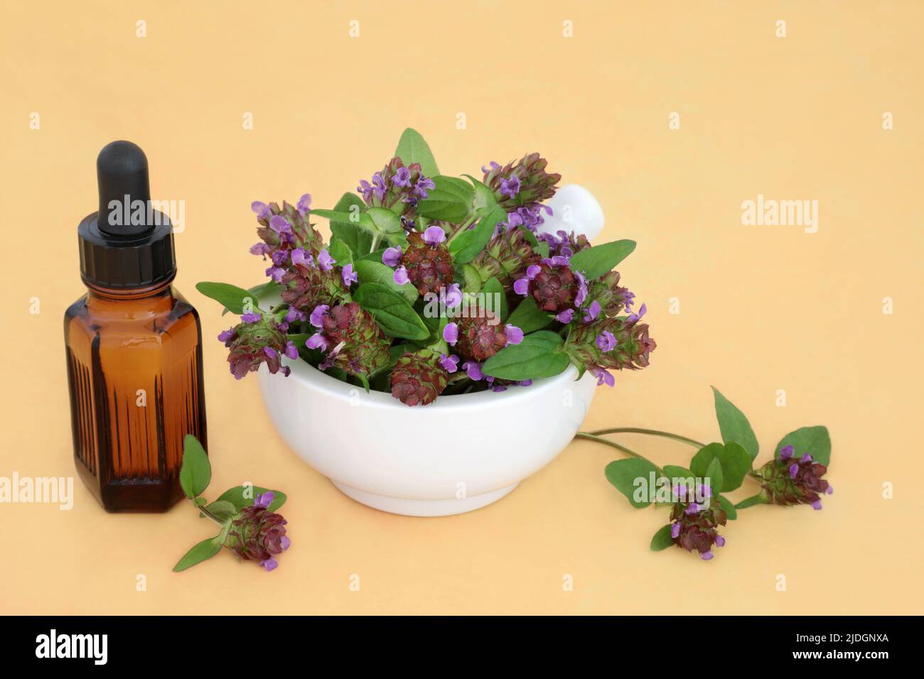 Self heal herb alternative herbal plant medicine with medical oil