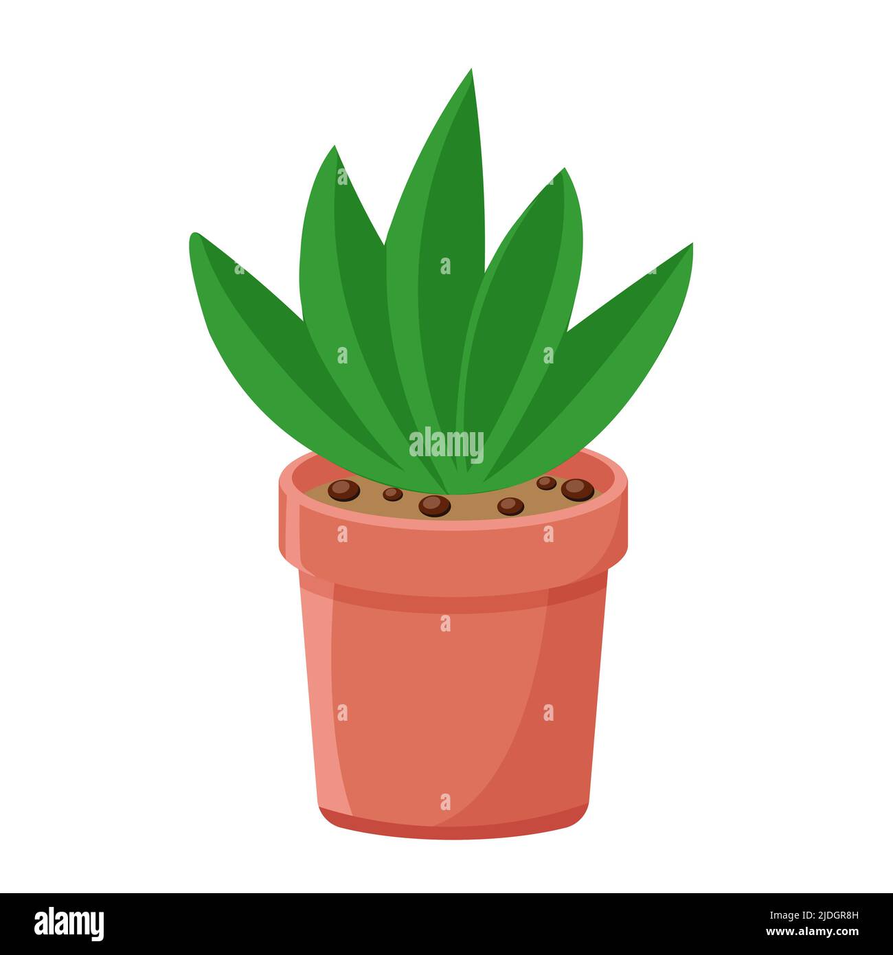 Aloe in pot isolated vector Stock Vector