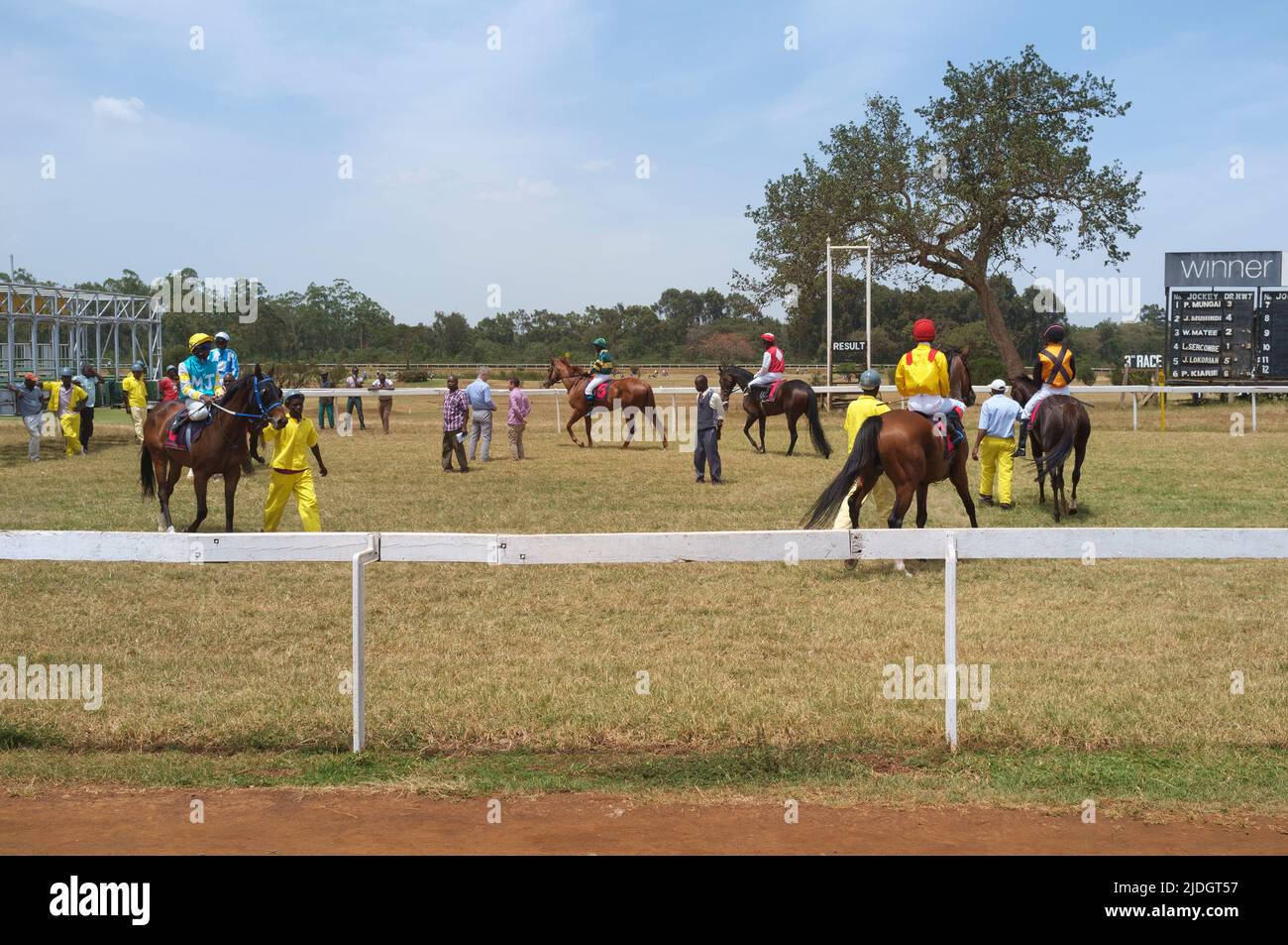 Horses being prepared for the start of a race, Ngong Racecourse, Ngong Road, Nairobi, Kenya.  1 Mar 2015 Stock Photo