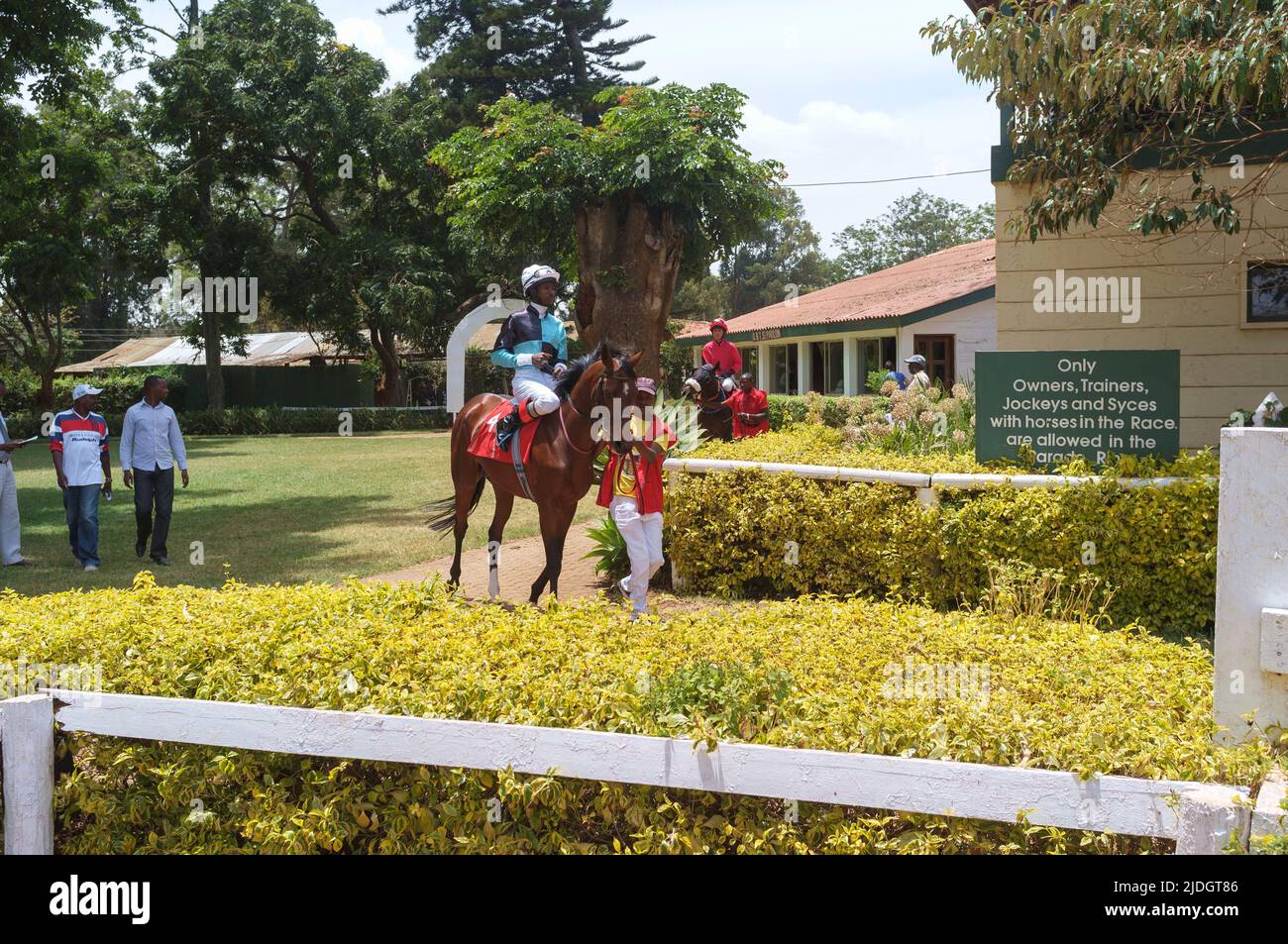 Horses being led round the parade ring before a race, Ngong Racecourse, Ngong Road, Nairobi, Kenya.  1 Mar 2015 Stock Photo