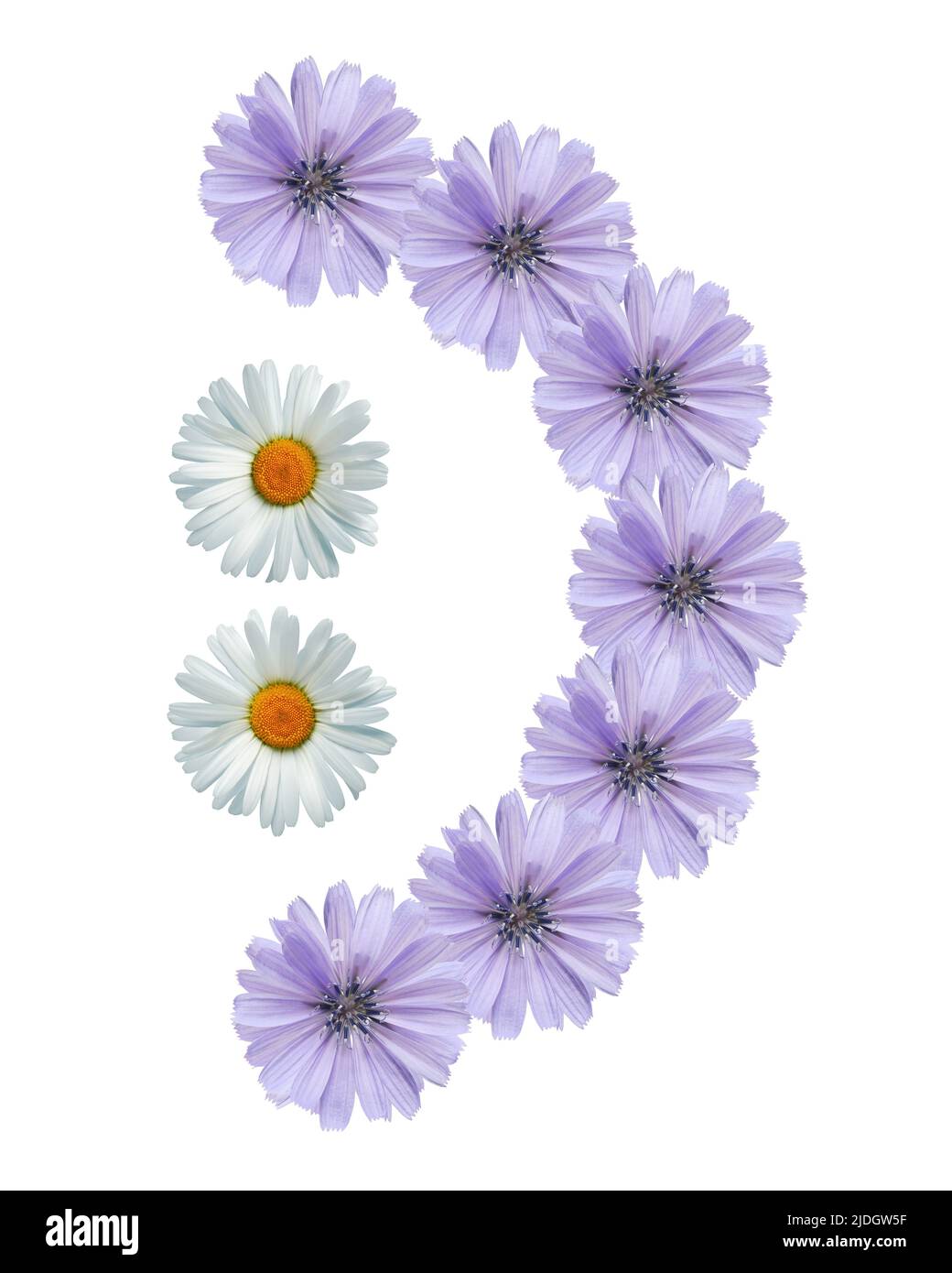 Smile icon made from blue and white daisy flowers on white background Stock Photo