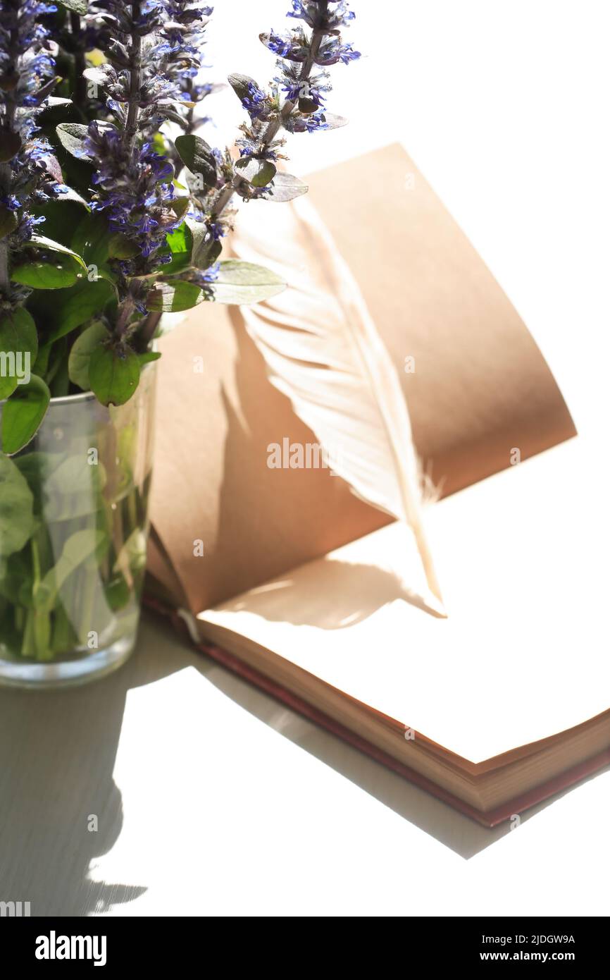 Still life with open book and quill pen near posy of wildflowers Stock Photo