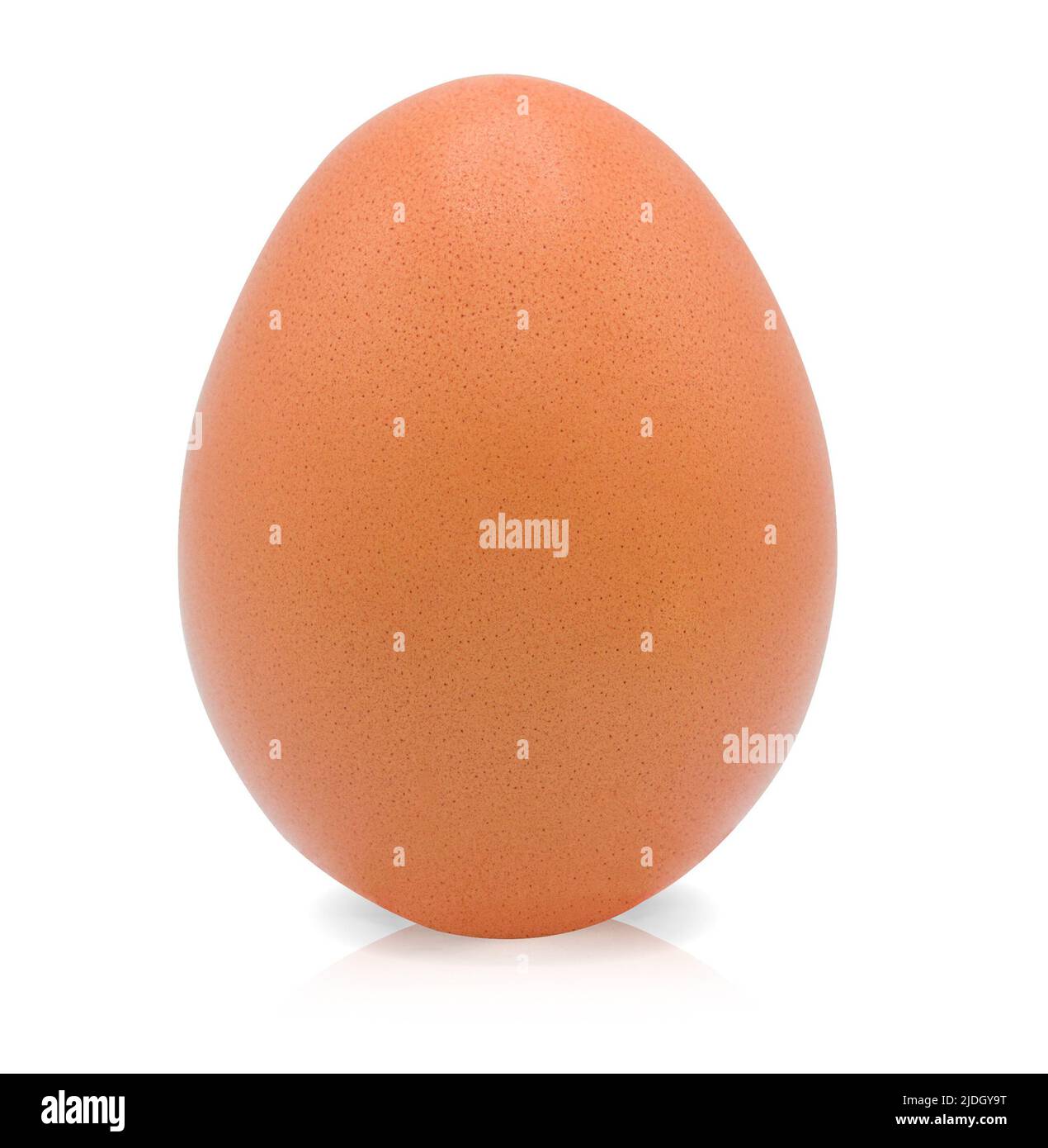 Egg isolated on white background with clipping path,Close up Stock Photo