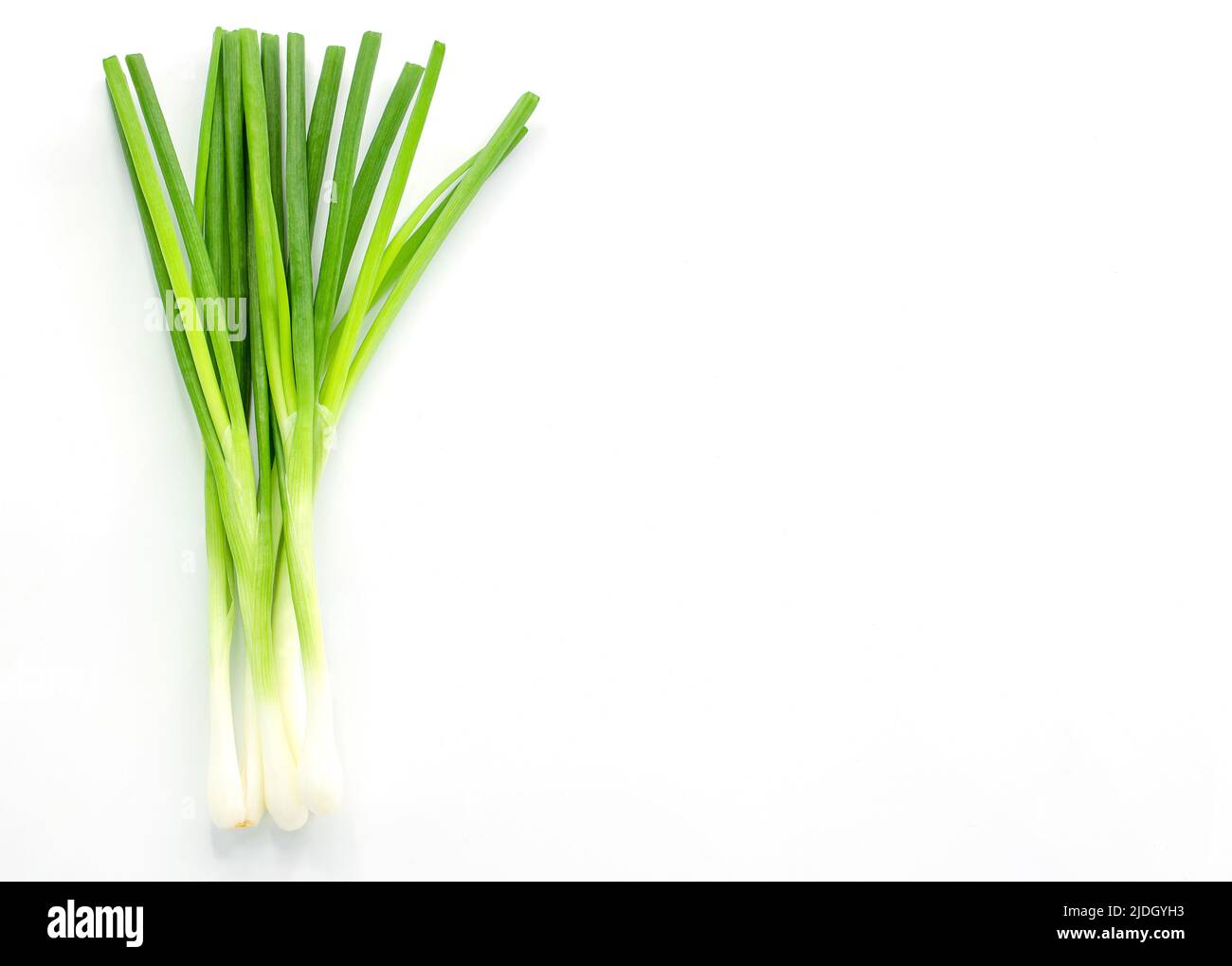 Fresh spring onions isolated on white background with copy space Stock Photo