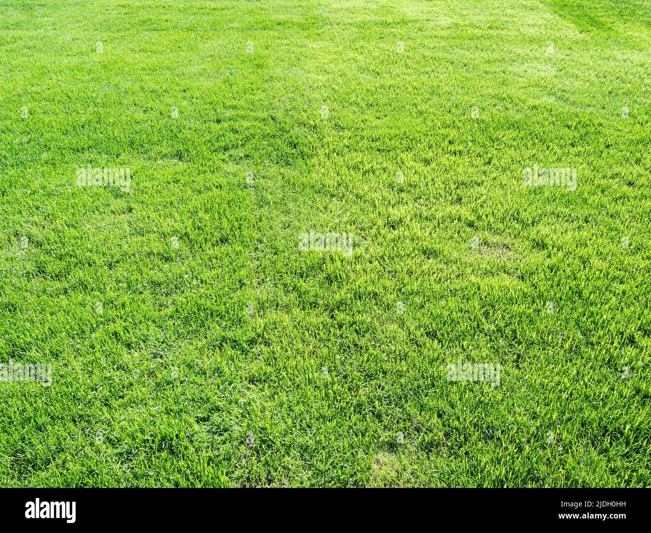 Sunny day in new hi-res stock photography and images - Alamy