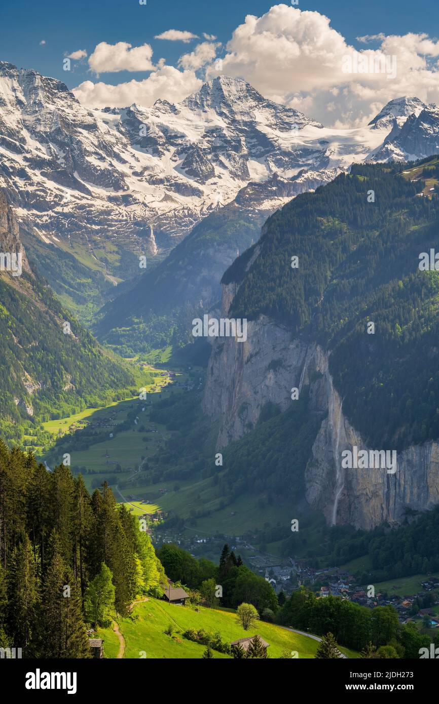 Scenic summer view over Lauterbrunnen Valley with Jungfrau and Breithorn snowy peaks, Wengen, Canton of Bern, Switzerland Stock Photo