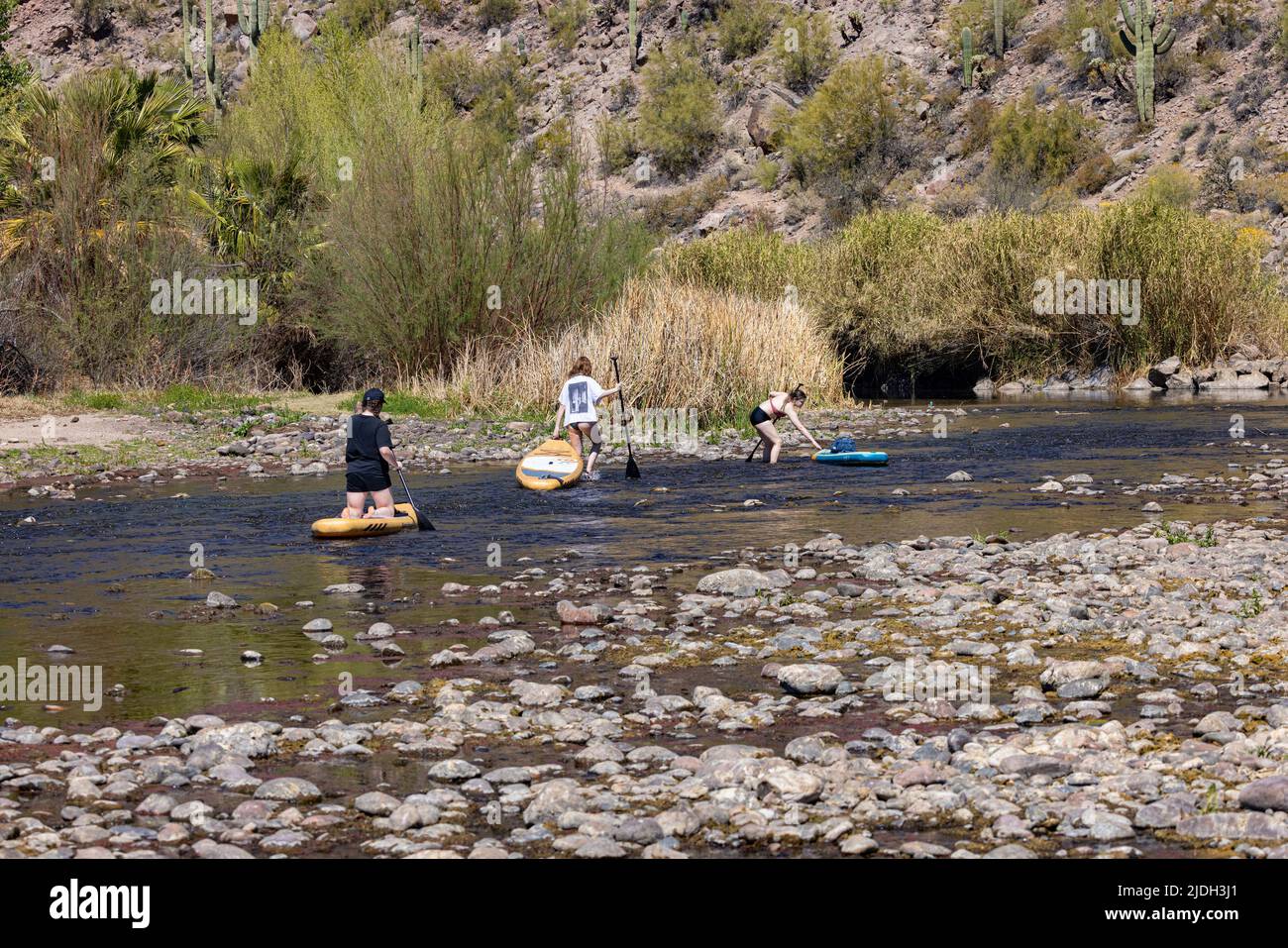 Standup Paddlers, leisure amusement on Salt River after long drought, USA, Arizona, Saguaro Lake Stock Photo