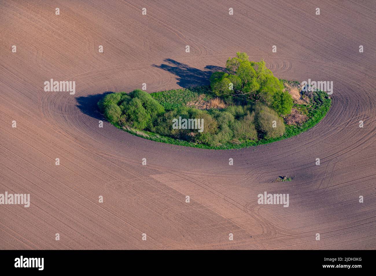 acre with wooded kettle hole, a relict of the ice age, in spring, aerial view, 06.05.2022, Germany, Schleswig-Holstein Stock Photo