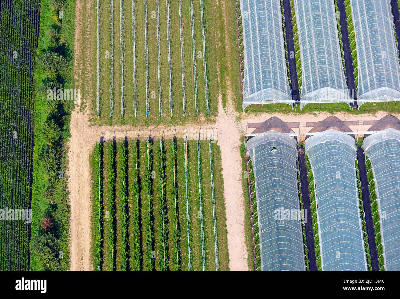 Cultivation under polytunnels and open land, aerial view 05/06/2022, Germany, Schleswig-Holstein Stock Photo