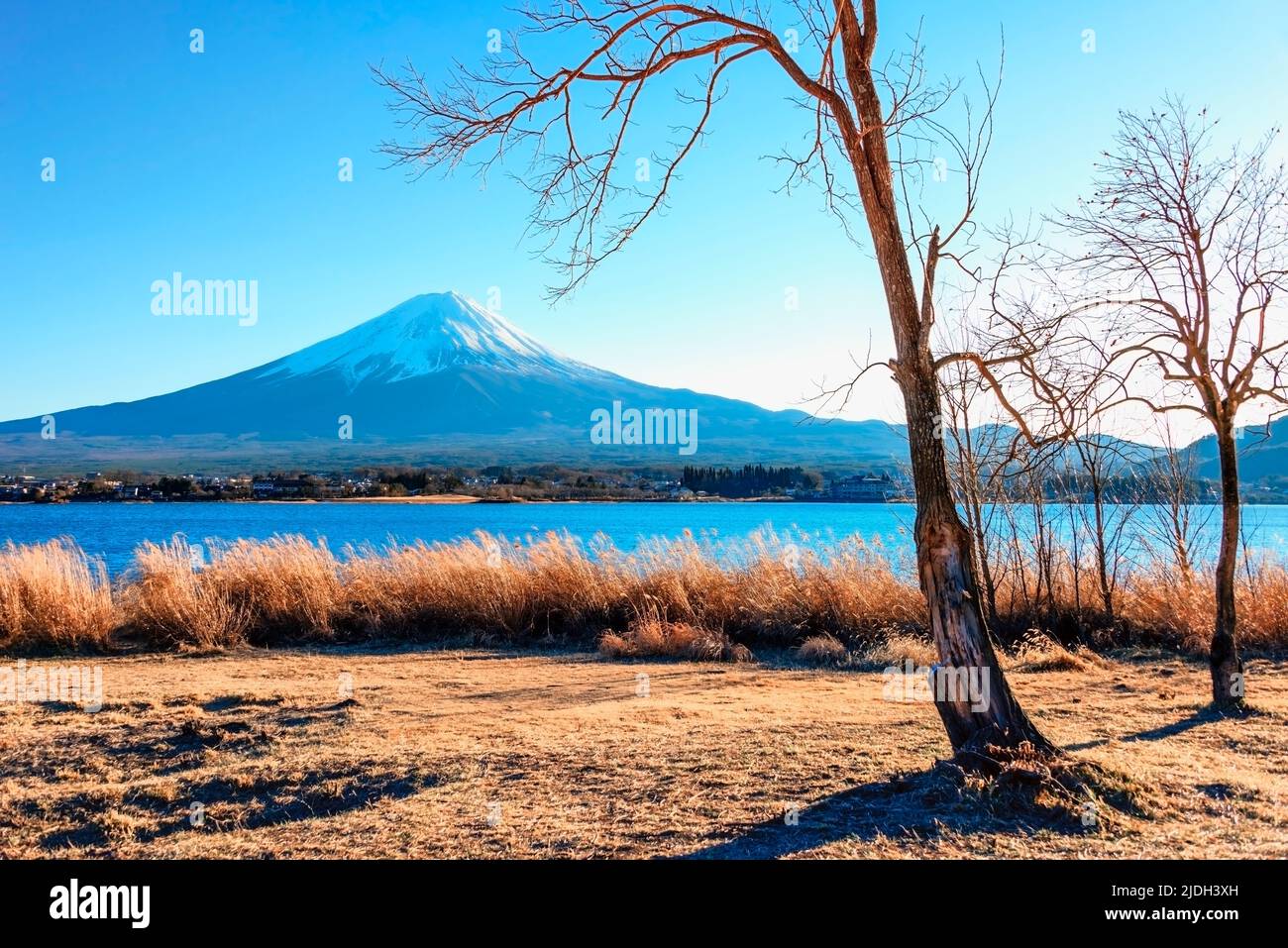 Mount Fuji viewed from the Kawaguchi lake, Japan Stock Photo