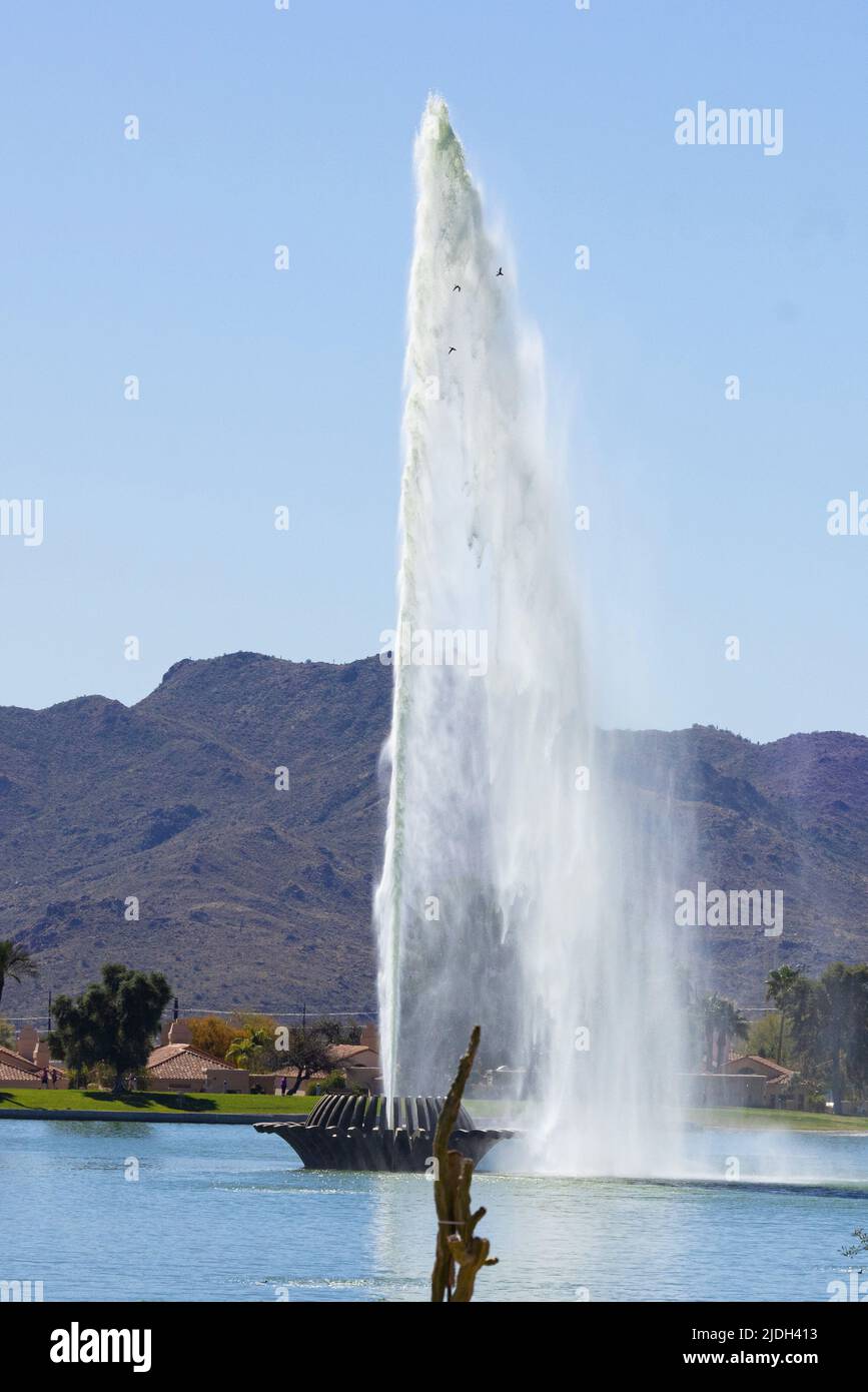 ducks fly around a water fountain from abaout 170 m height, USA, Arizona, Fountain Hills Stock Photo