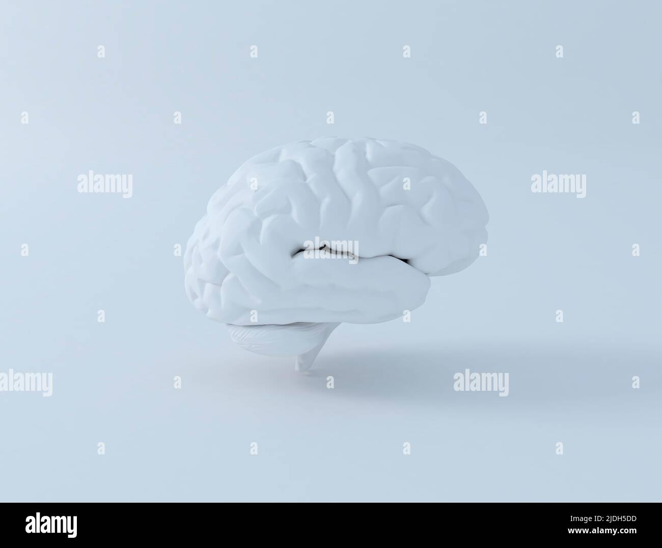 3D white glossy brain rendering isolated on light blue gray background Stock Photo