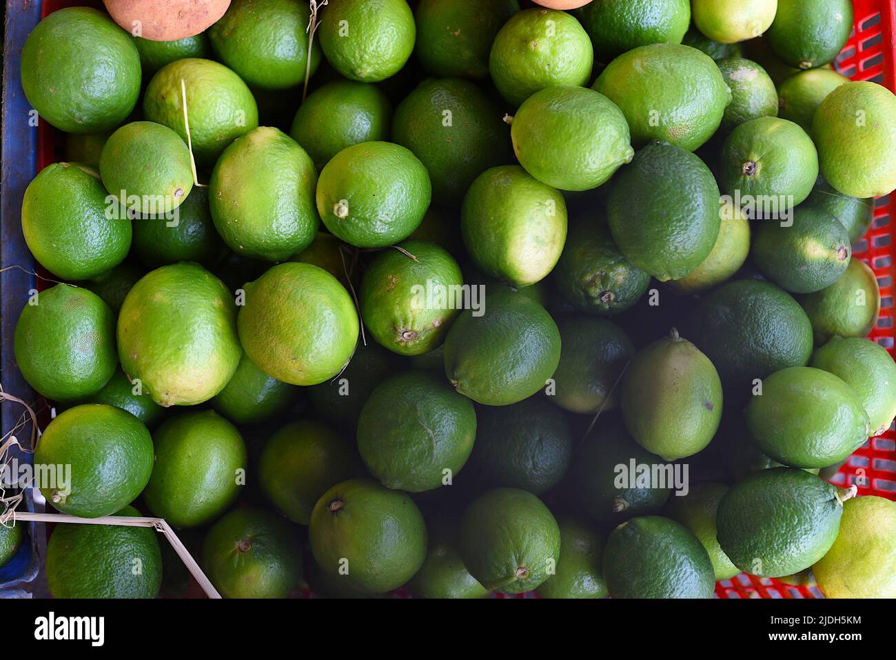 Many limes for sale closeup on Vietnamese market Stock Photo - Alamy