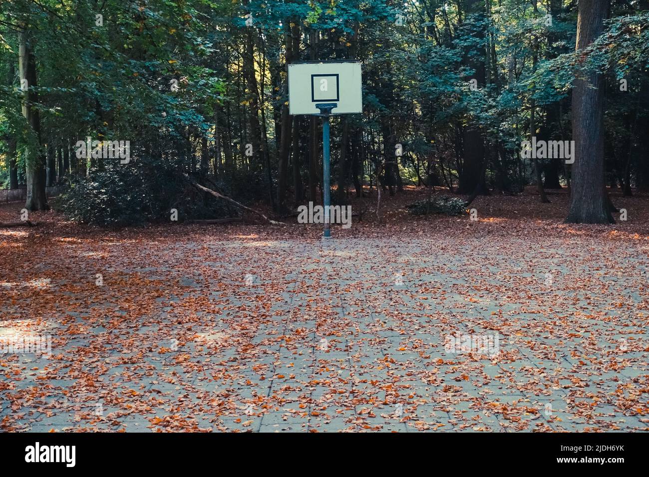 Old basketball court in a community park Stock Photo Alamy