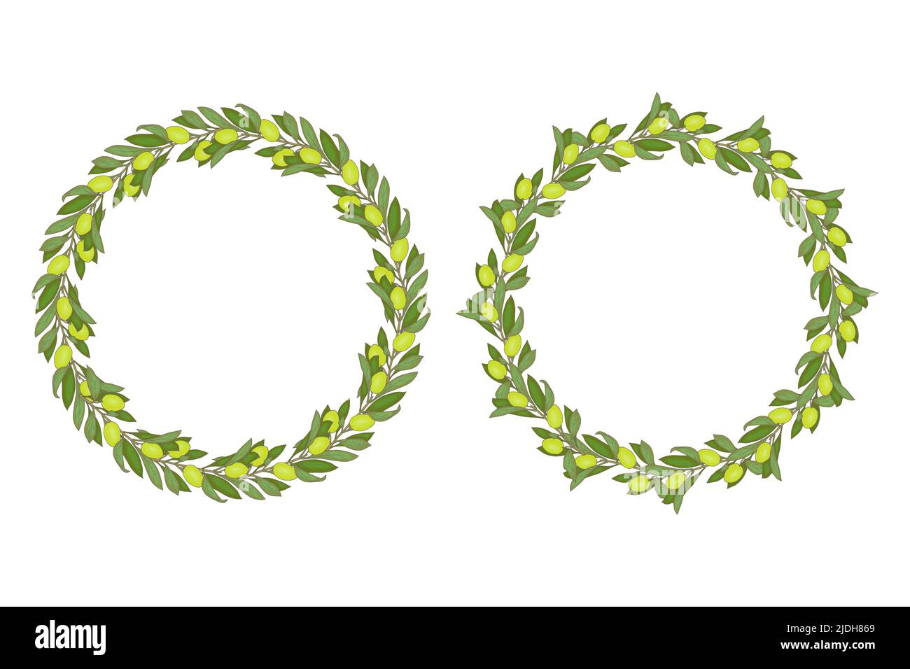 Wreath green olives hand drawn doodle round frame with branches leaves ...