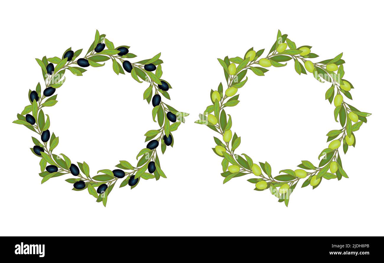 Wreath set black and green olives hand drawn doodle round frame with ...