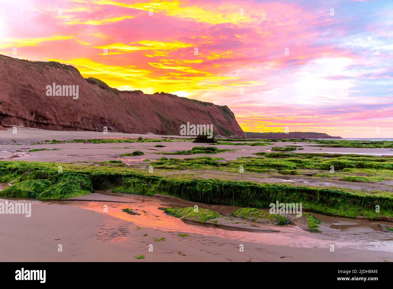 Sunrise over cliffs and beach at low tide, Orcombe Point, South Devon. Stock Photo