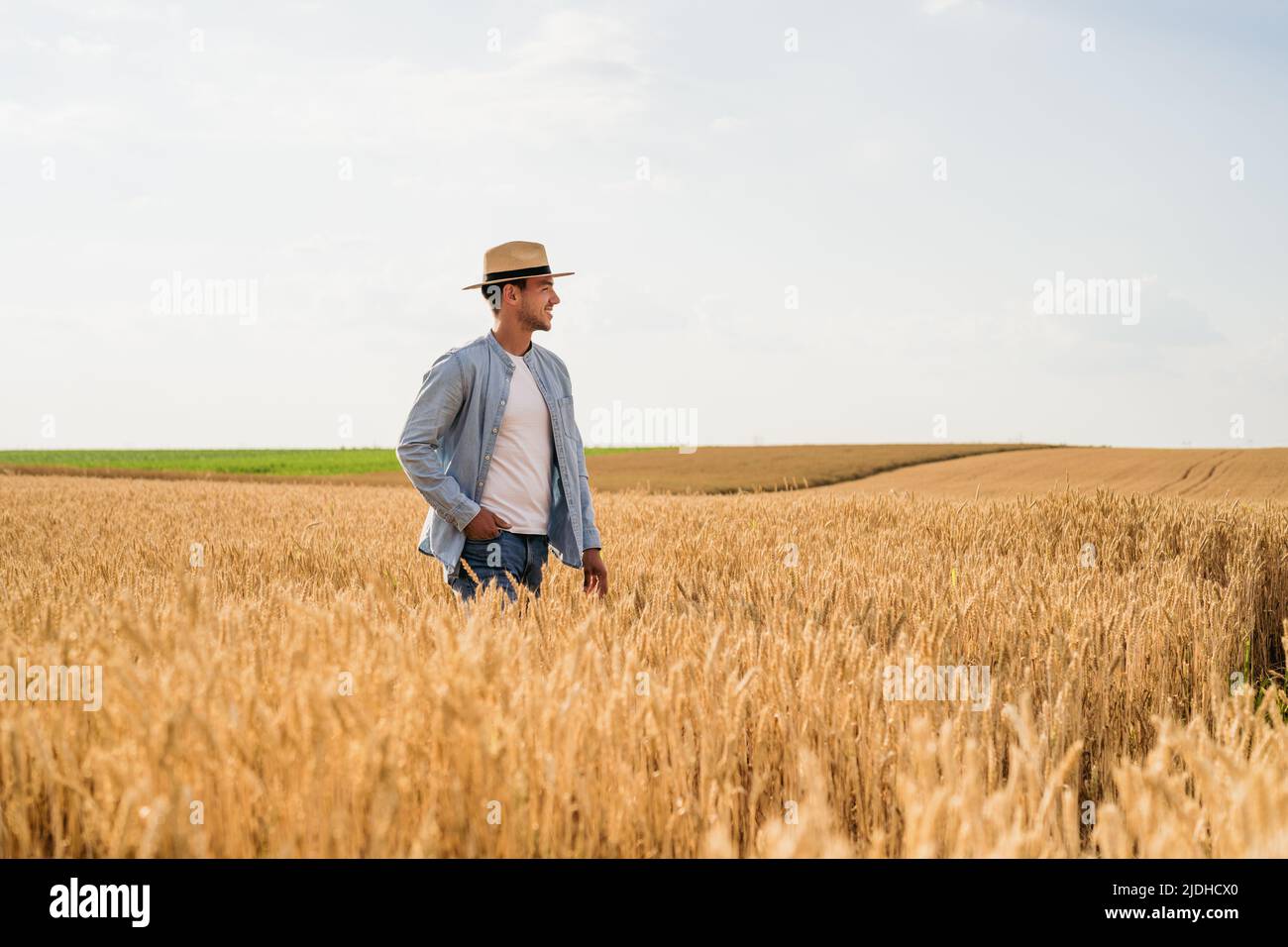 Happy farmer is standing in his growing wheat field Stock Photo - Alamy