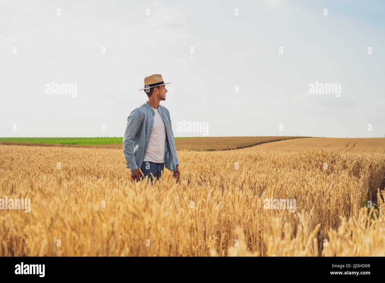 Happy farmer is standing in his growing wheat field Stock Photo - Alamy
