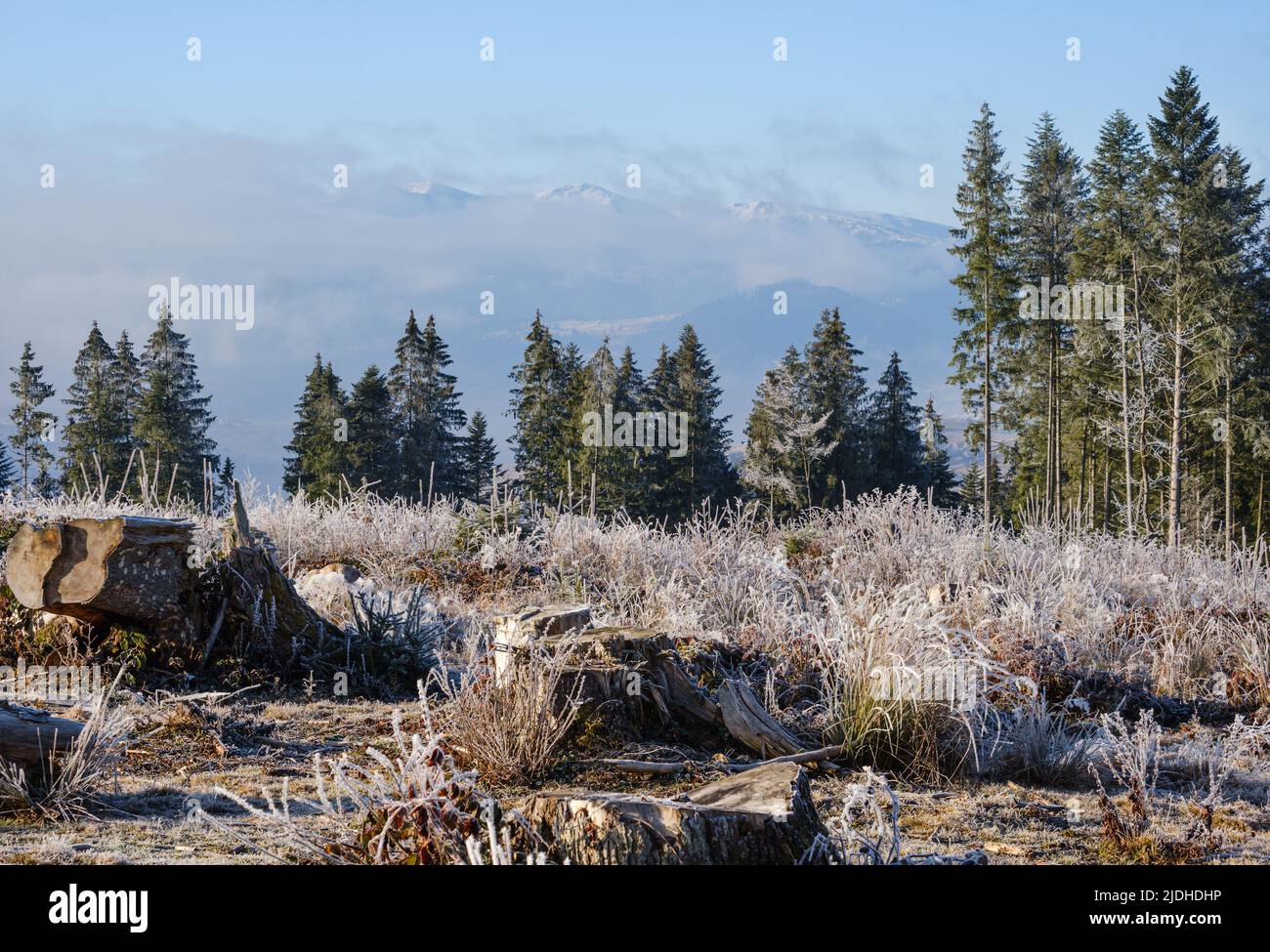 Winter coming. Last days of autumn, morning in mountain countryside peaceful picturesque hoarfrosted scene.  Ukraine, Carpathian mountains. Stock Photo