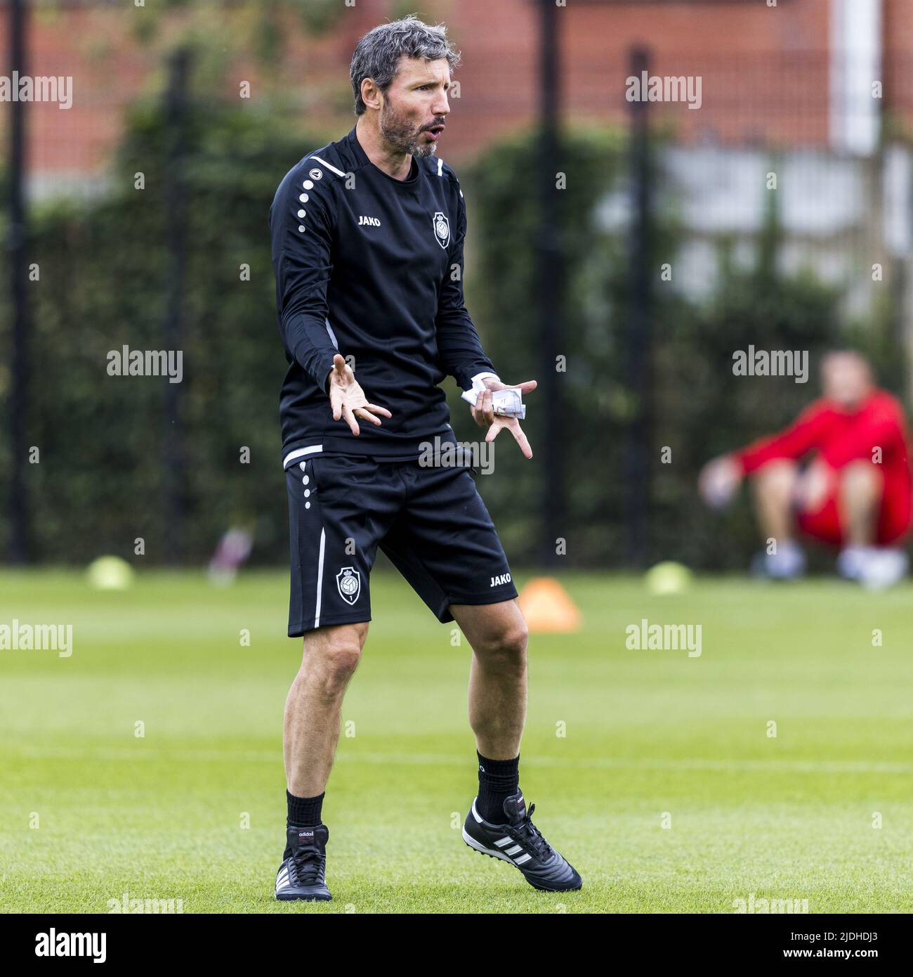 ANTWERP - Head coach Mark van Bommel during the training of the Belgian  club Royal Antwerp FC. ANP MARCEL VAN HORN Stock Photo - Alamy