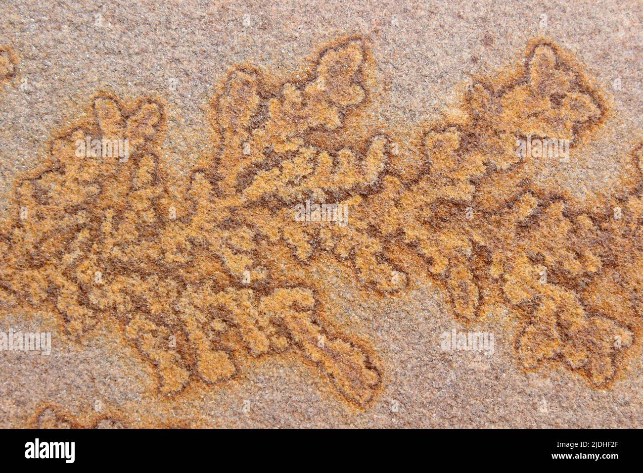 Dendritic Pattern In Sandstone Stock Photo