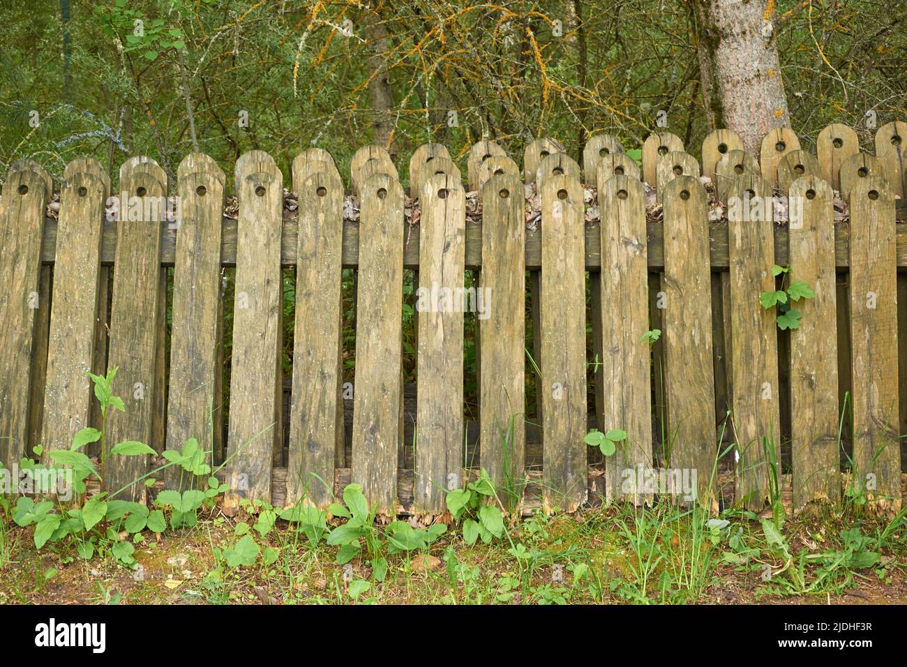 An old worn-out and crooked picket fence in the village Stock Photo