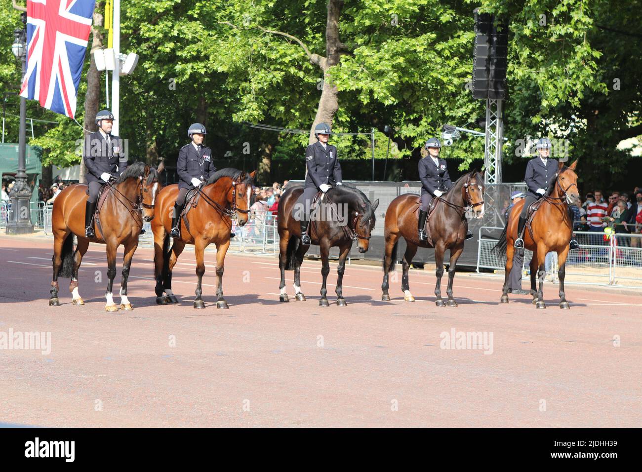 Met Police Horses lined up on The Mall ready for the start of Queen