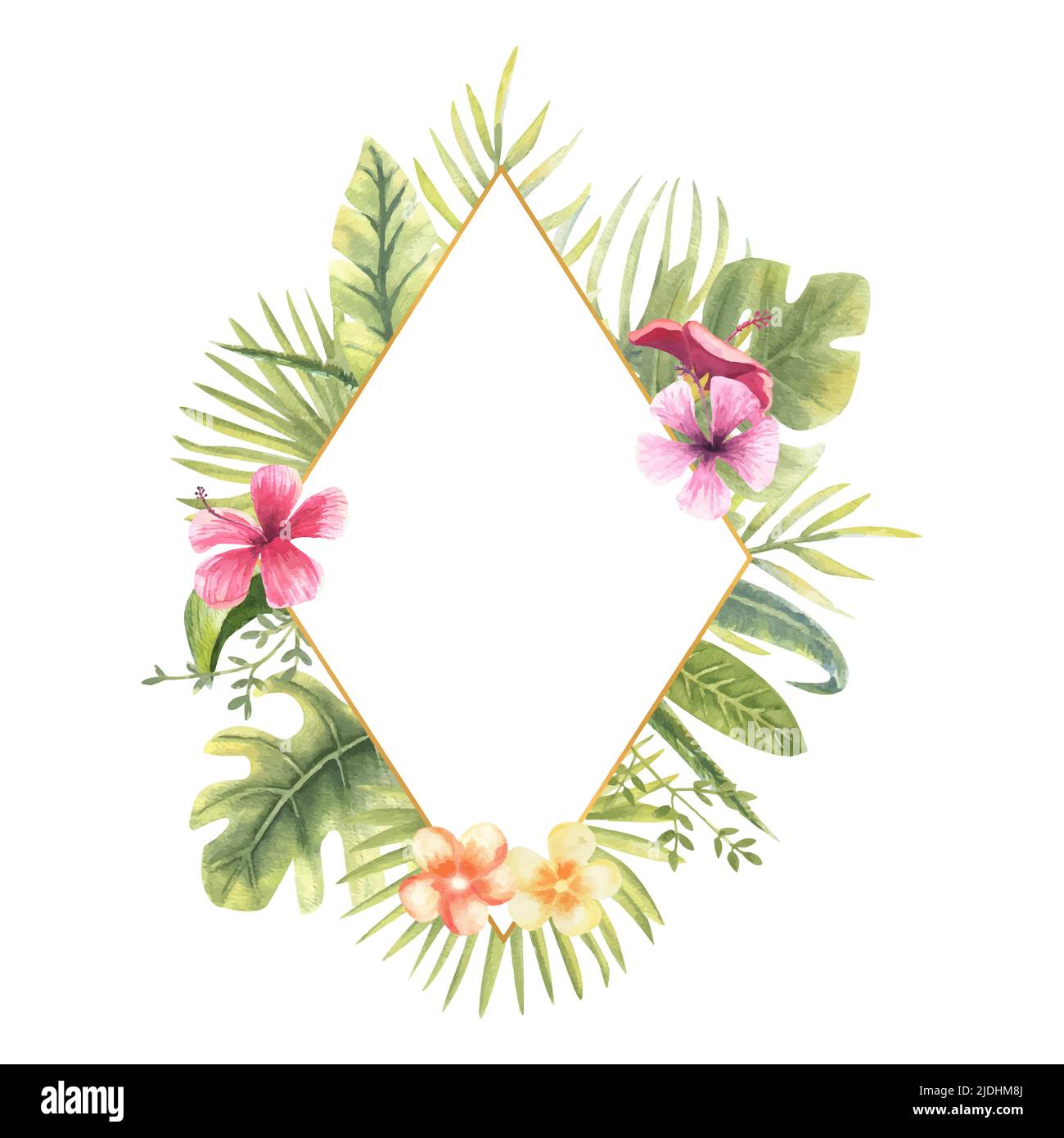 Vector illustration of a diamond-shaped frame with tropical plants ...