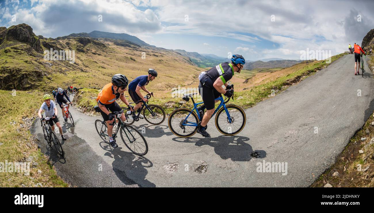 A group of cyclists riding fast up Hardknott Pass in the Fred Whitton Challenge cycling sportive held in the English Lake District, UK. Stock Photo