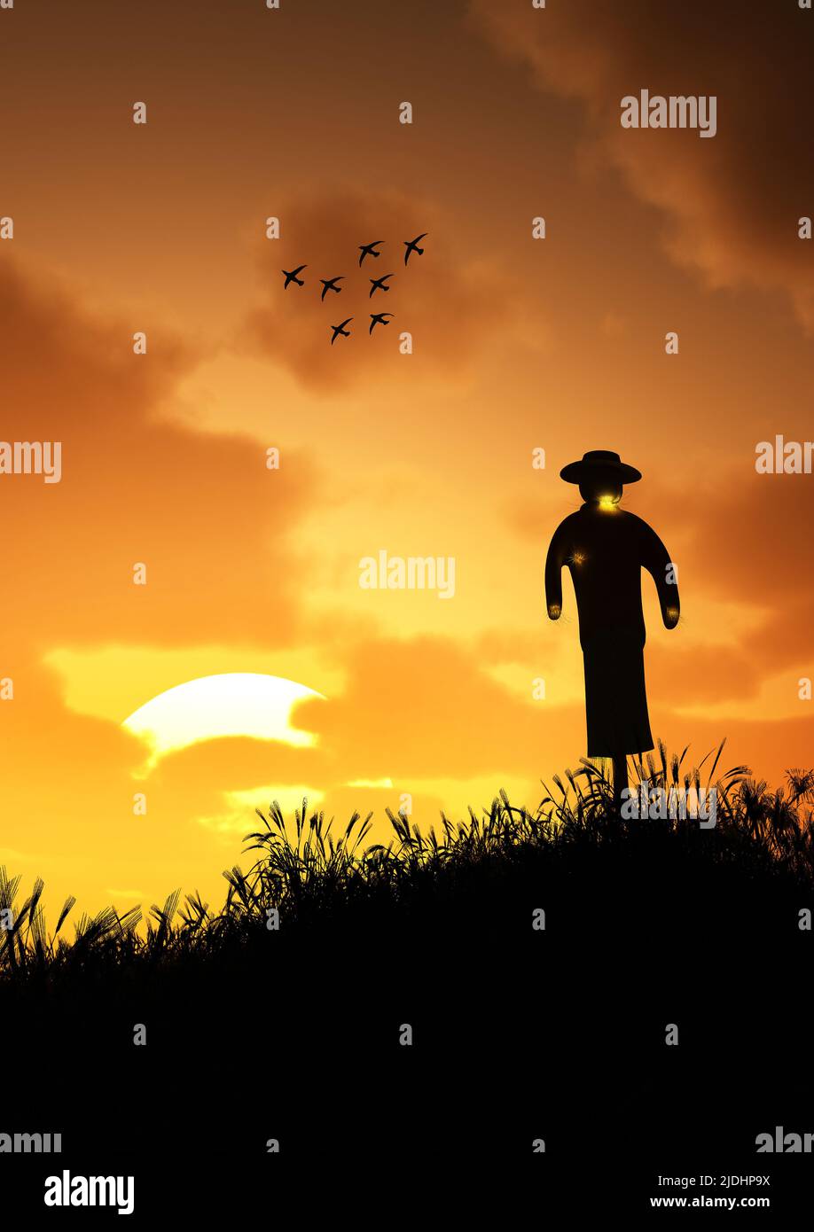 A Scarecrow Standing In A Field Stock Photo